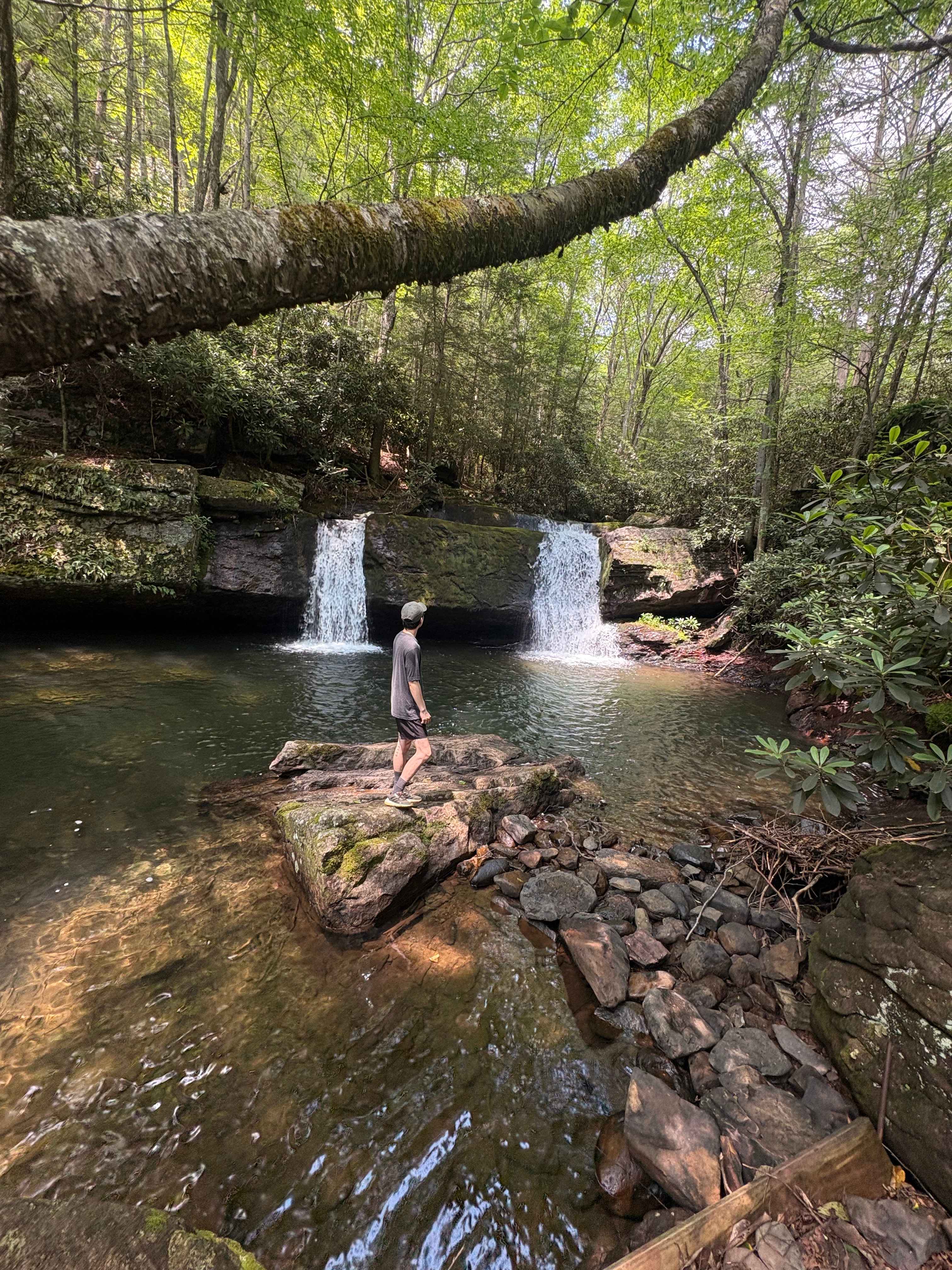 Camp Dietrich on Bear Creek