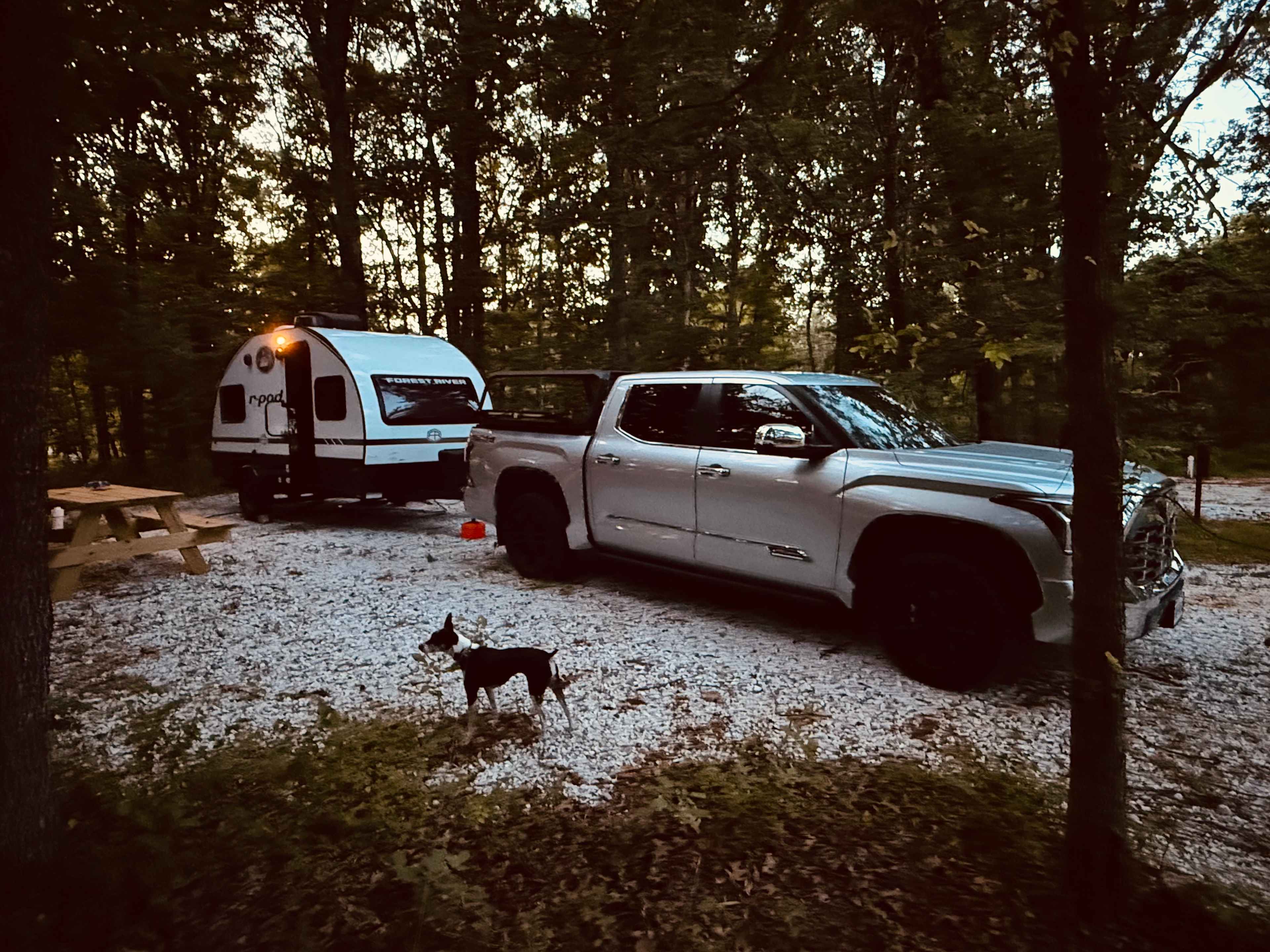 SilverStream Lodging