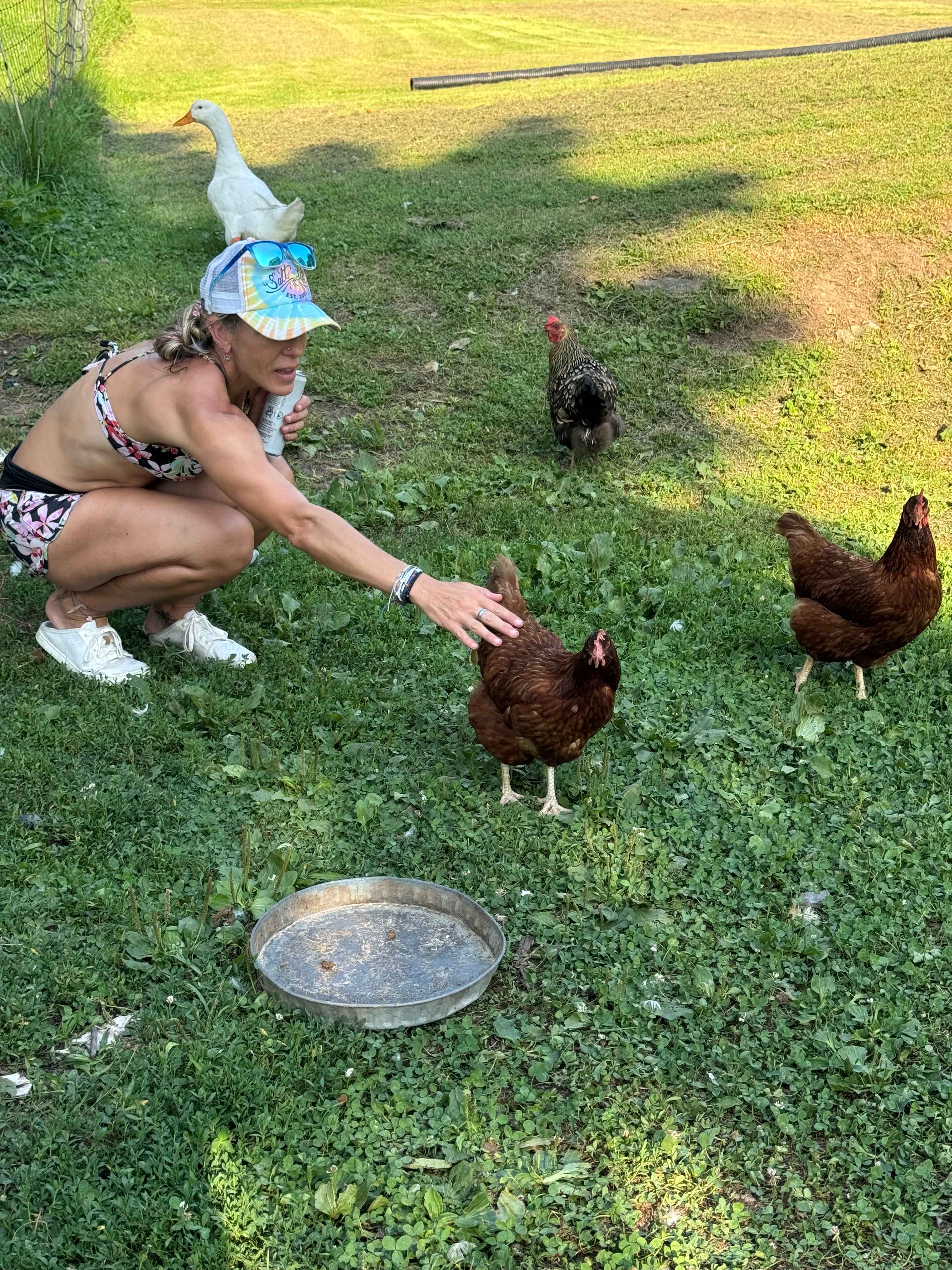 Crazy Goats Farm Camp