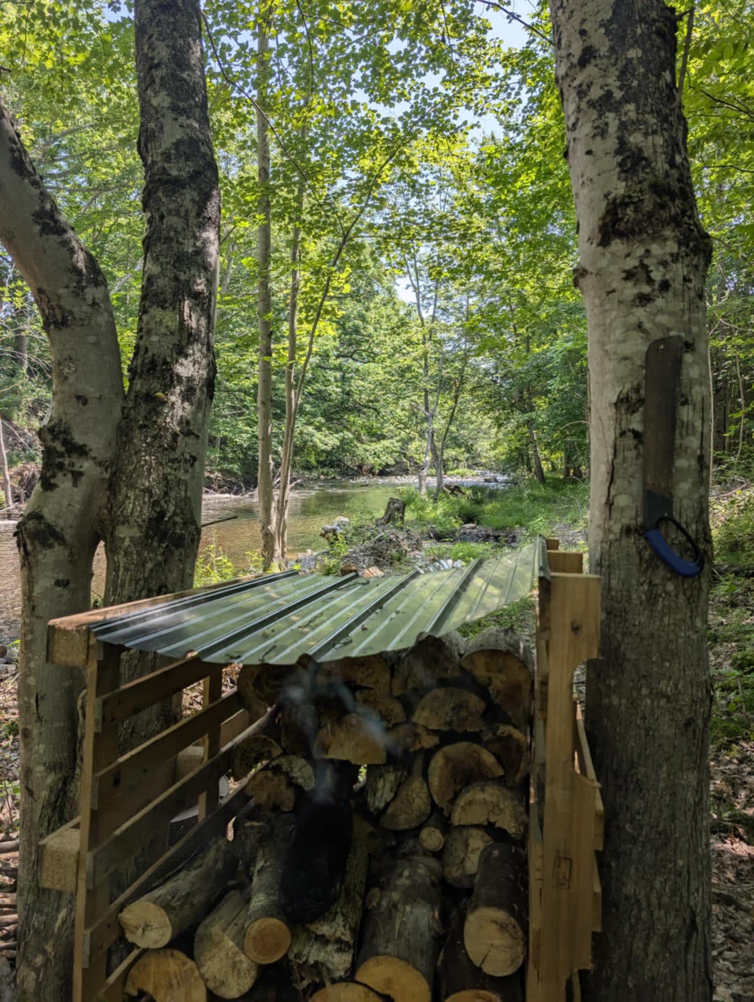 Lots of firewood provided!