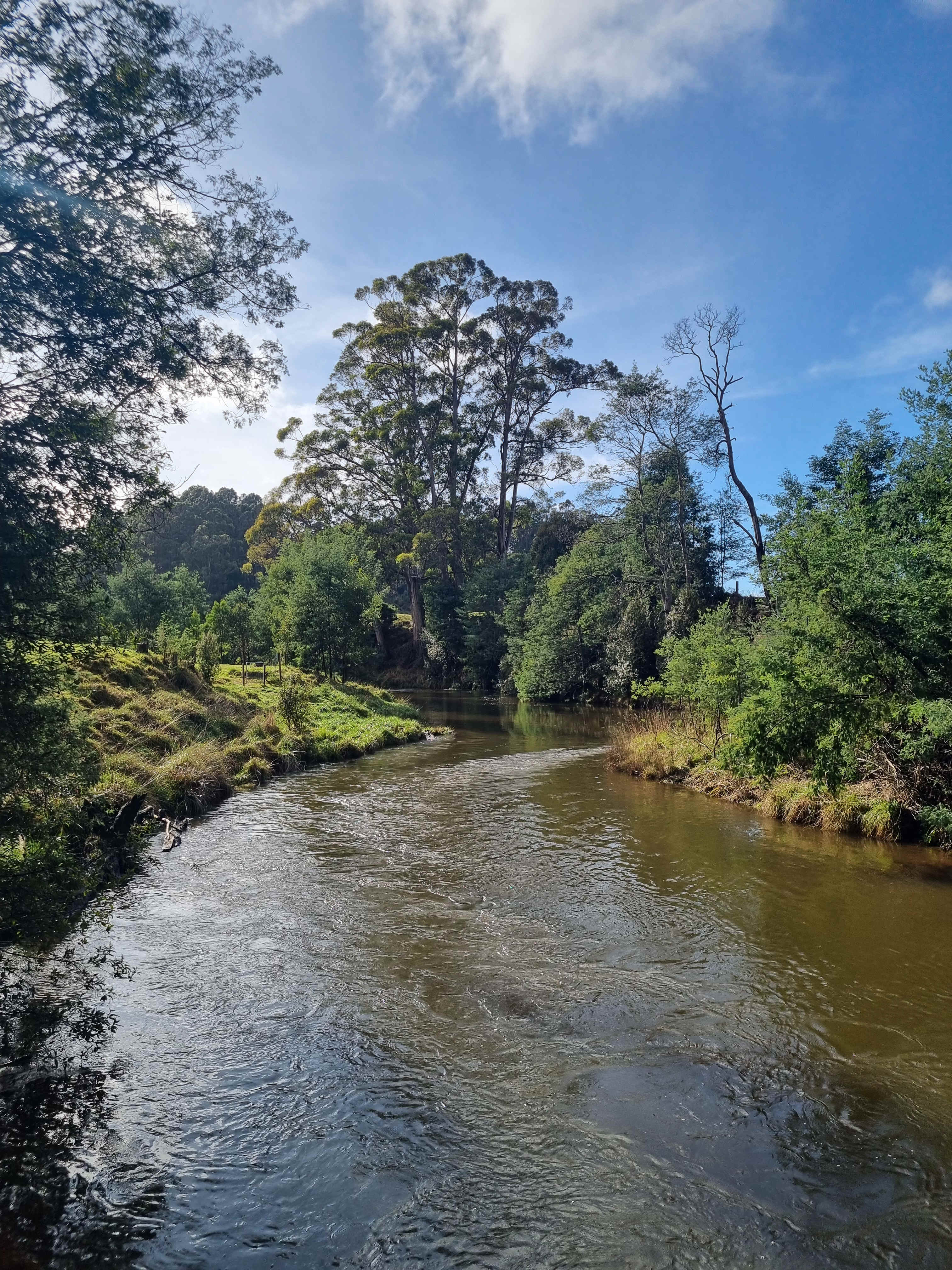 On one of the walks near the river where you can swim and fish