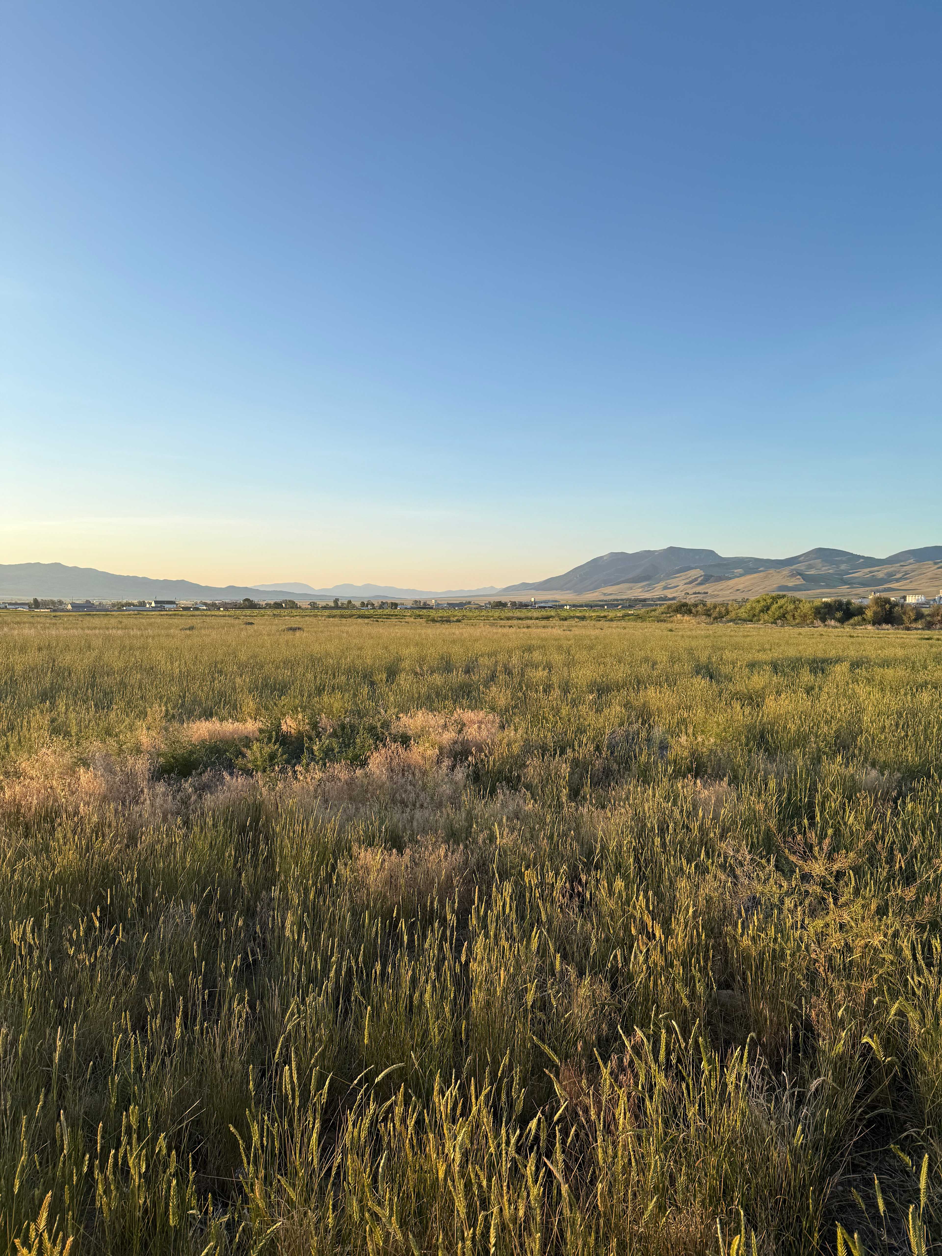 Country RV And Tent Spots