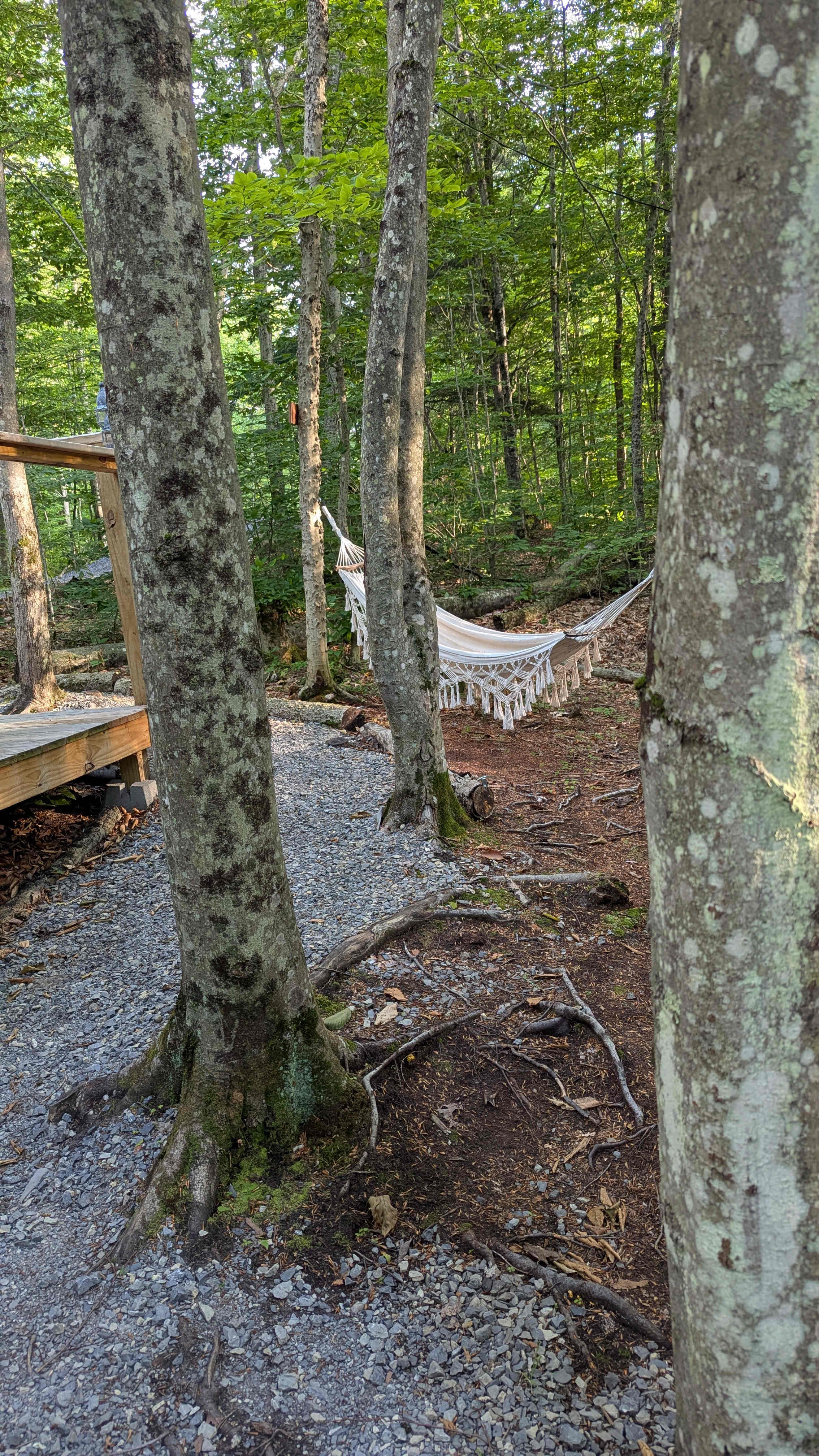 Secluded Glamping in the Woods
