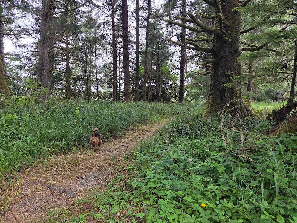 Williams Park campground