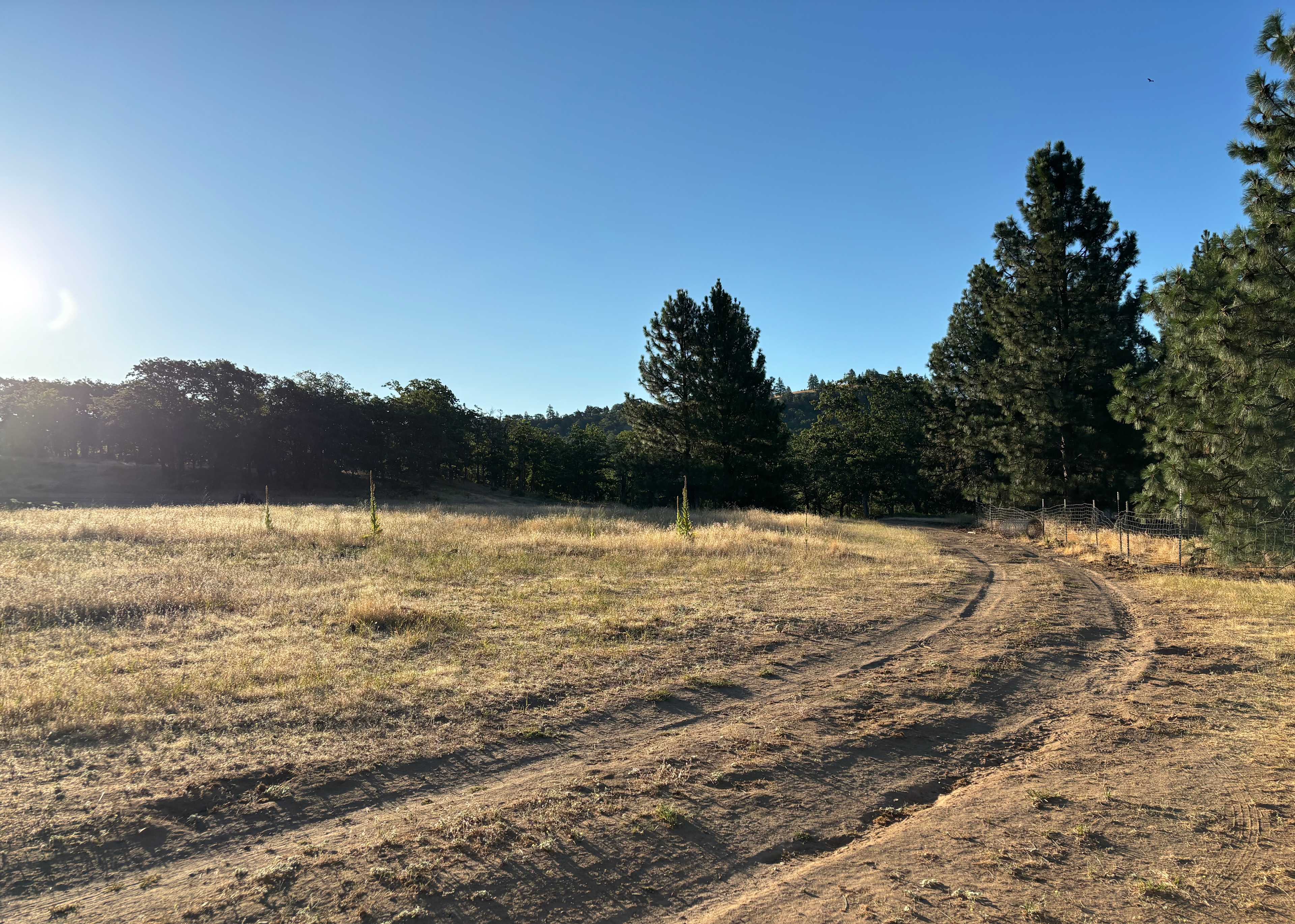 Klickitat Canyon Winery