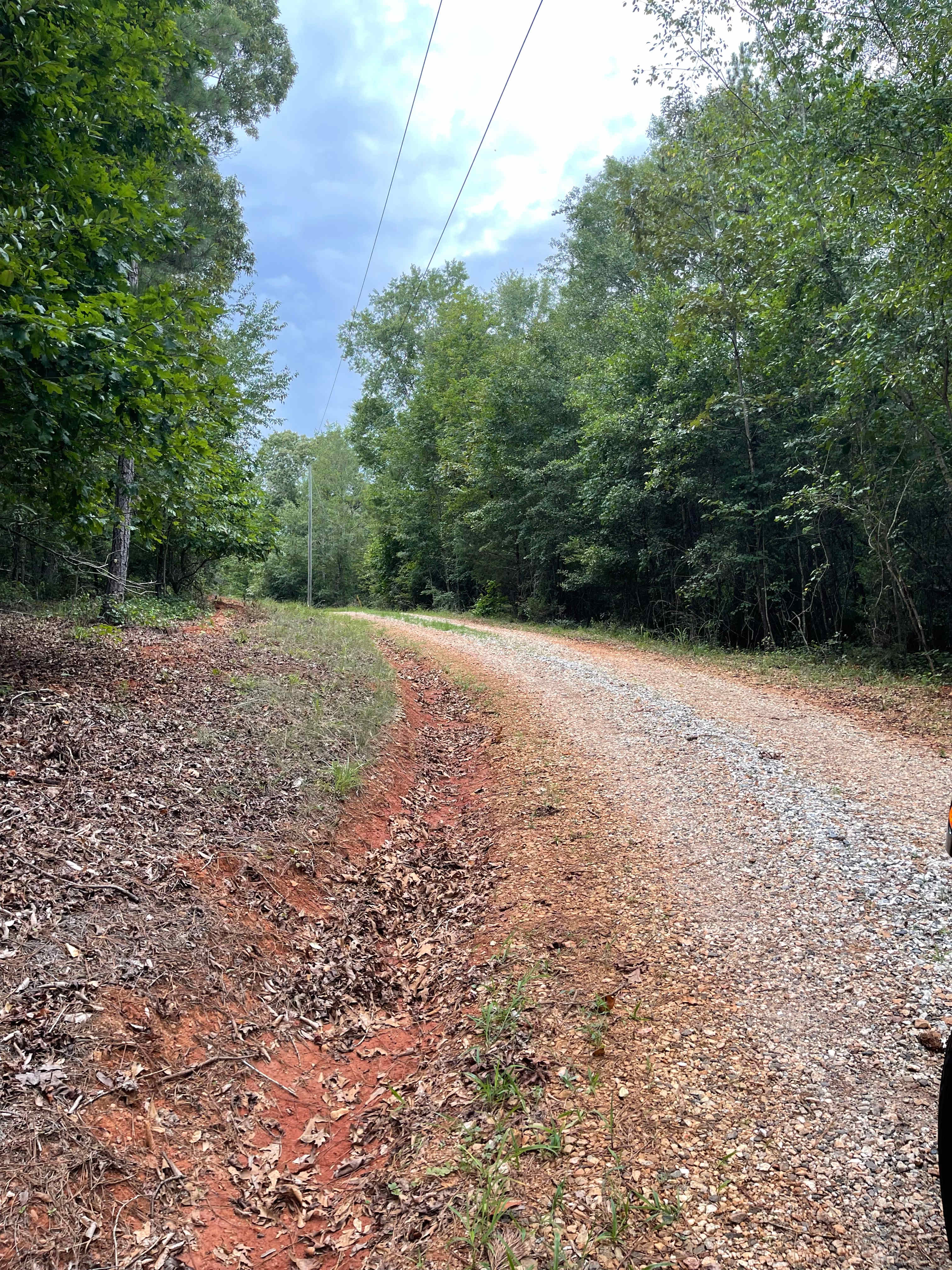 Road to campsite 