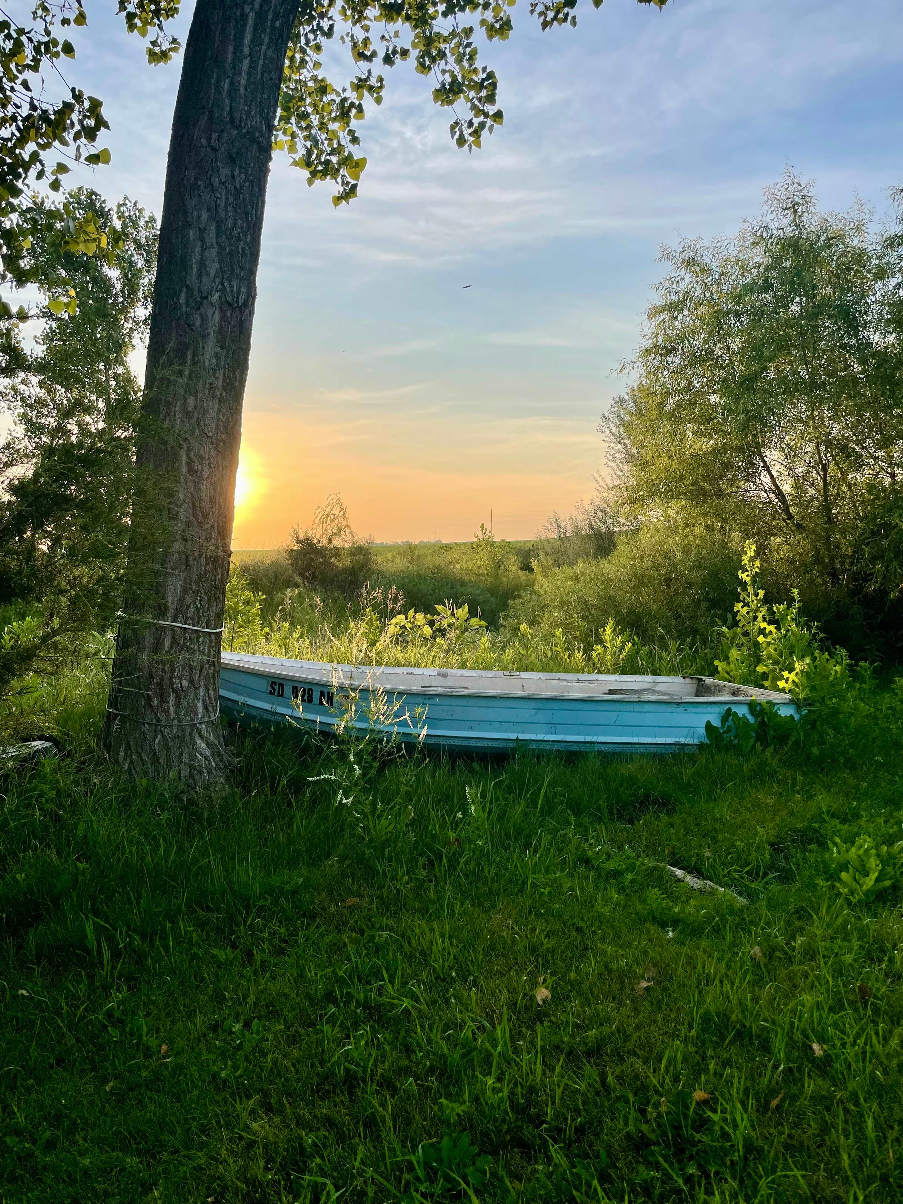 Sunrise on the farm 