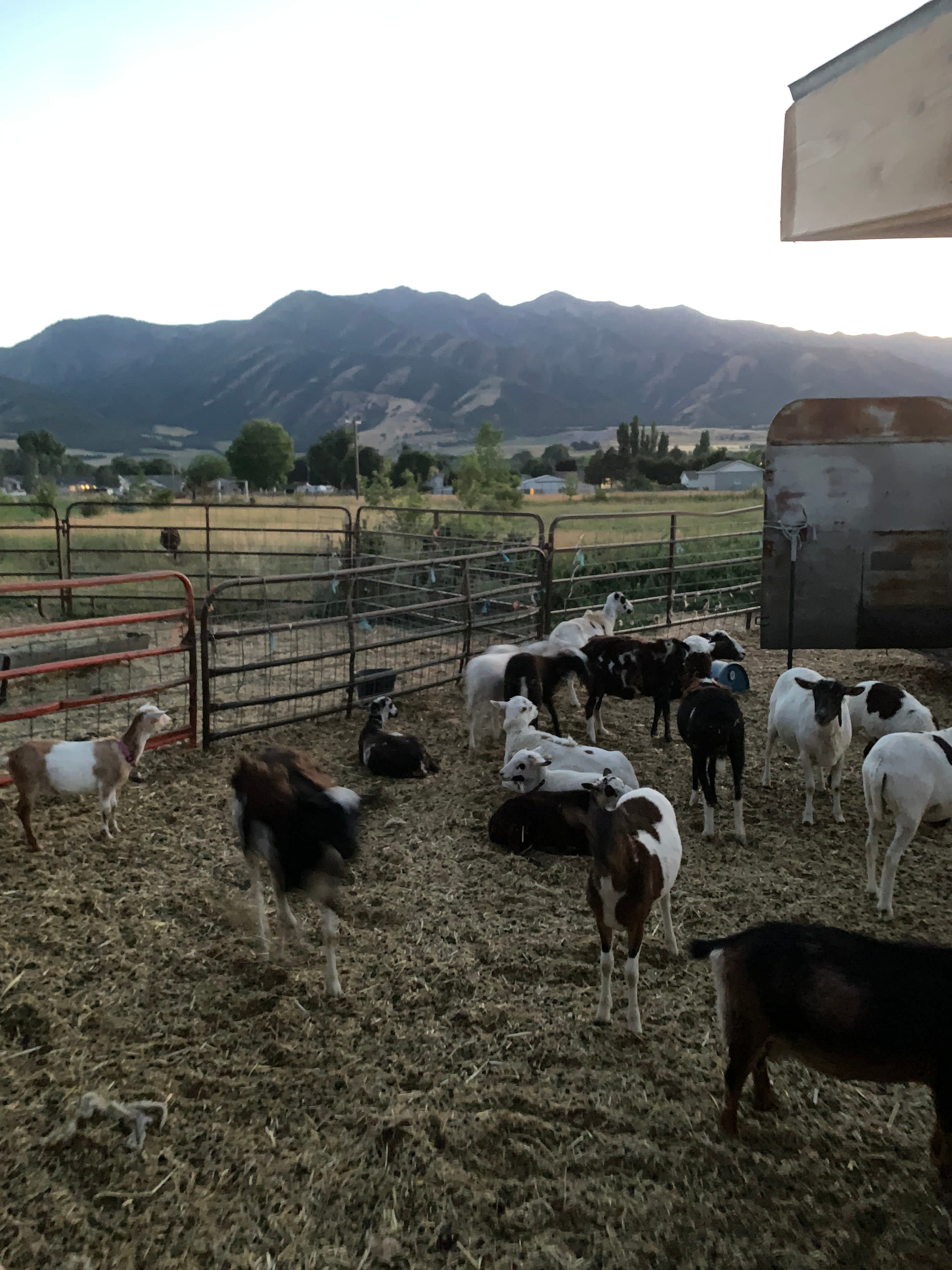 Steep Mountain Farm