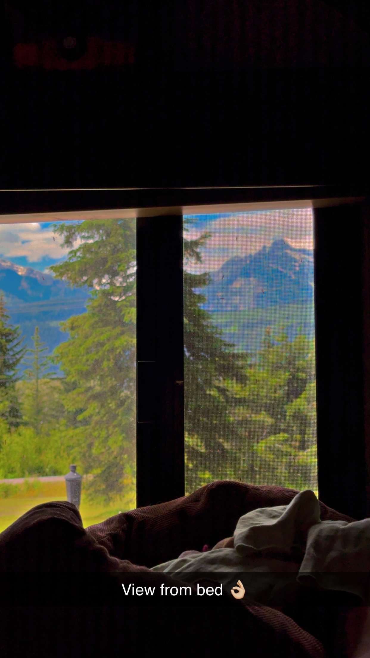 View from bed! 