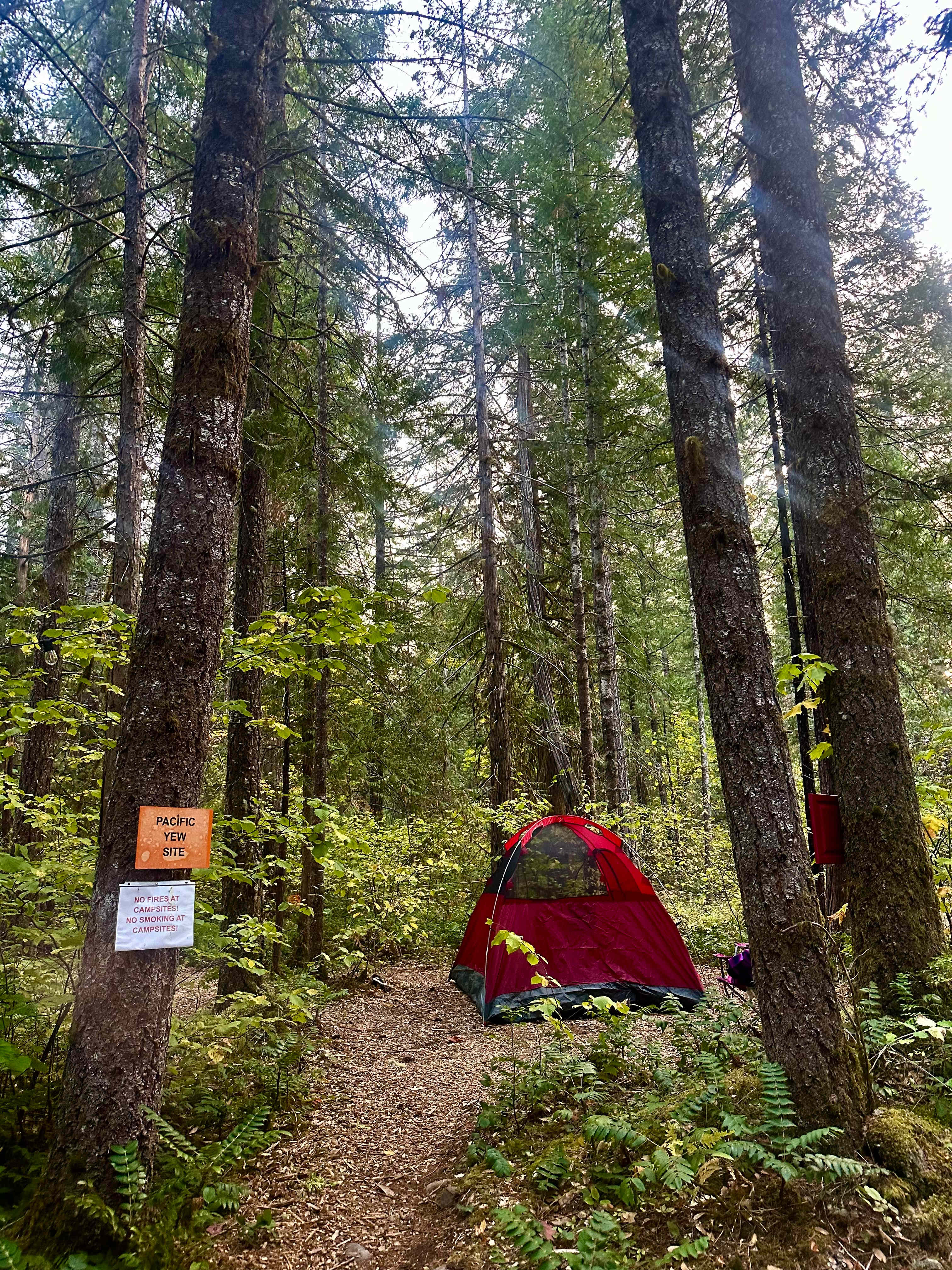 McKenzie River Forest Retreat