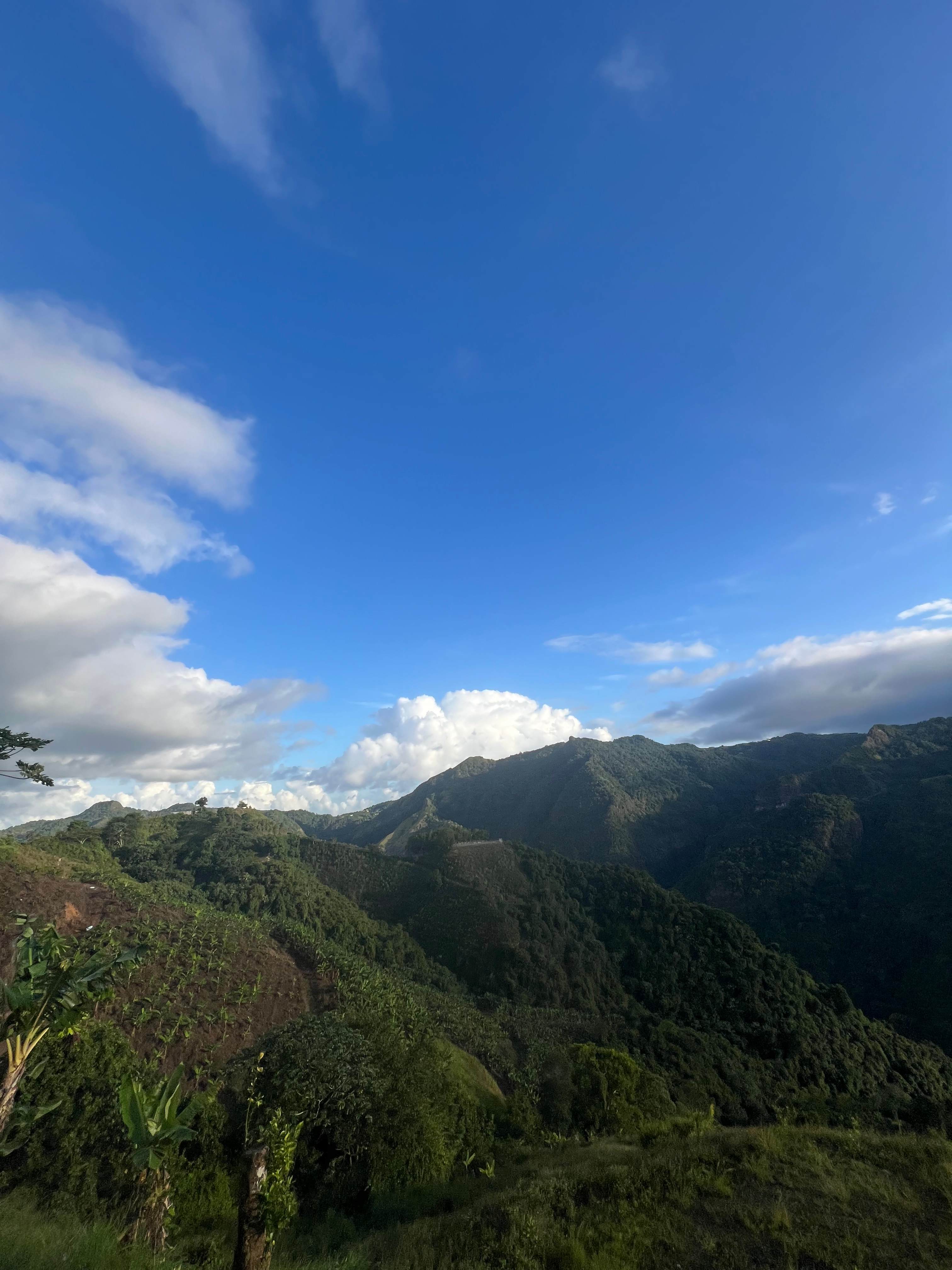 Mountain Retreat