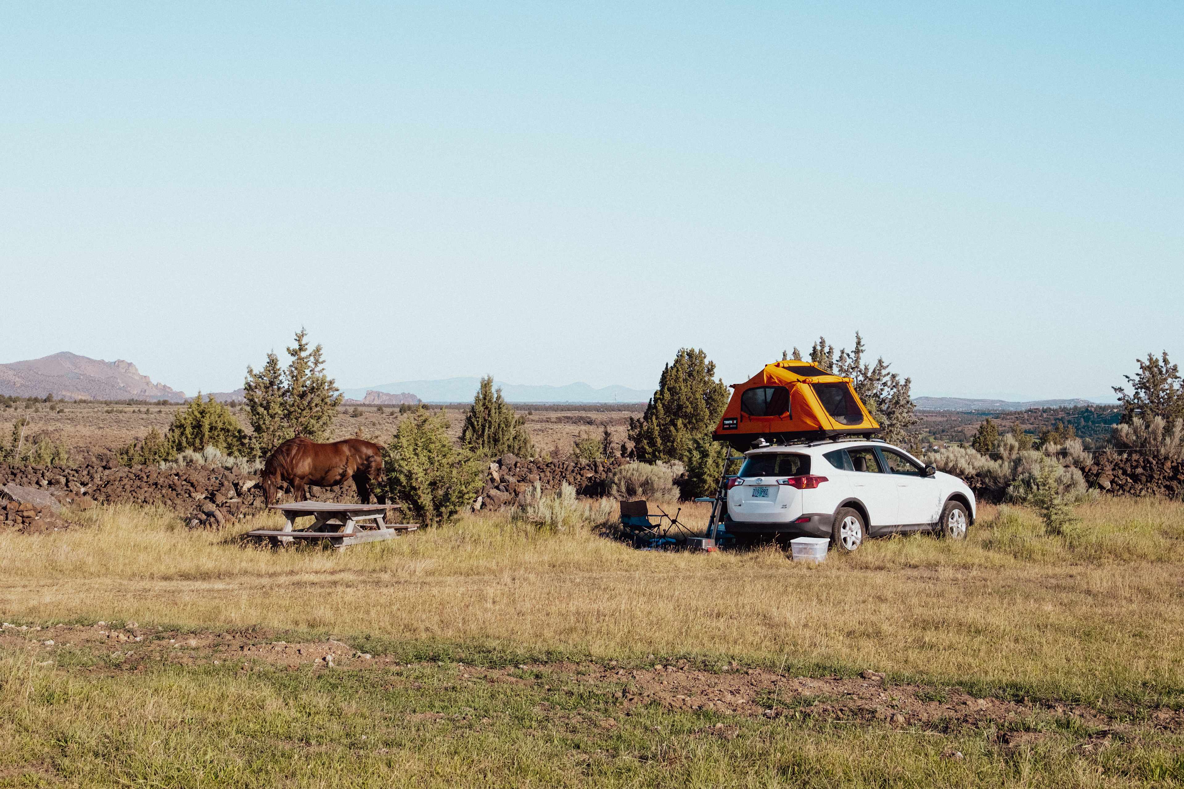 Horse Ranch on the Rim