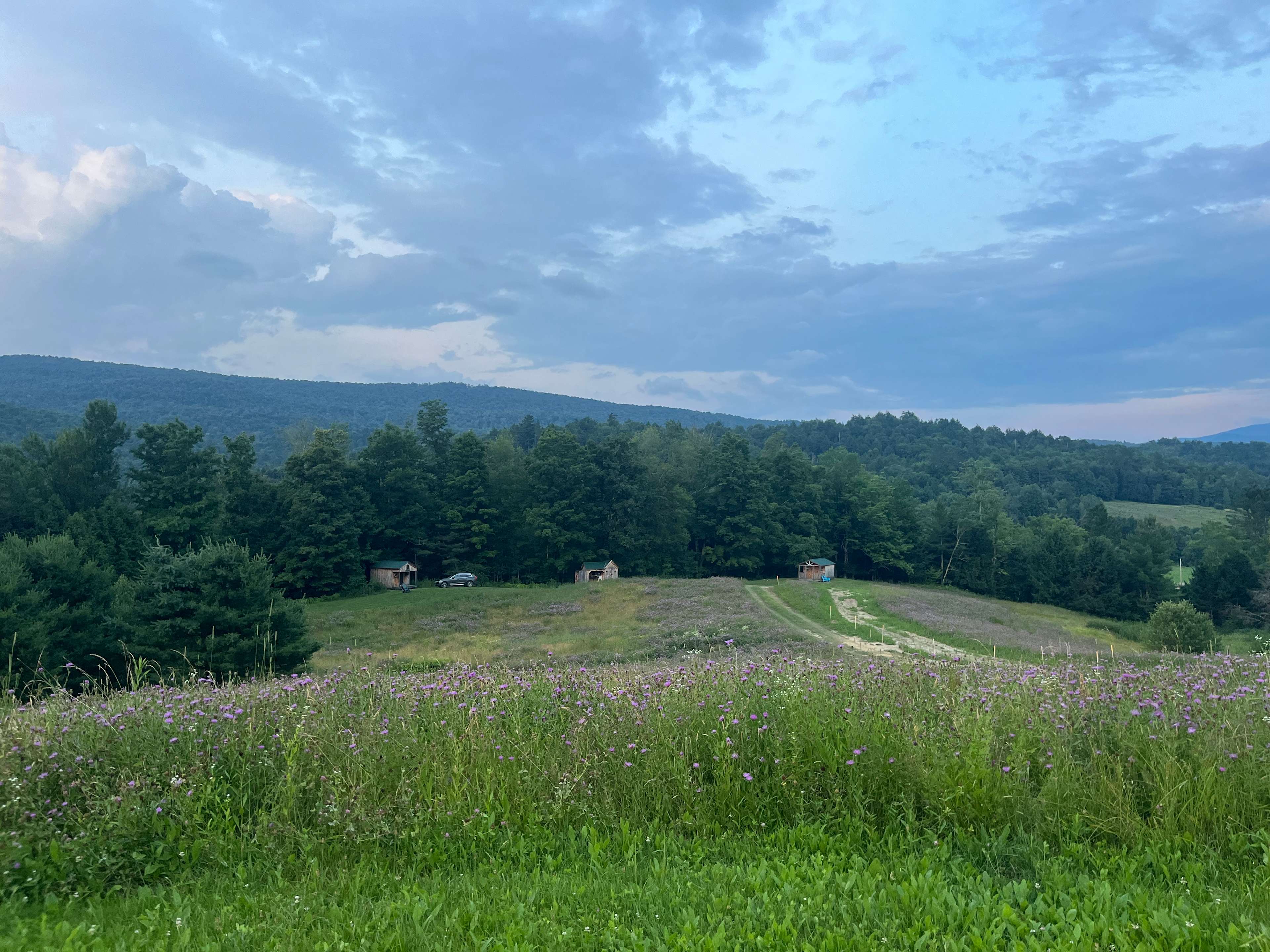 View from the top of the hill