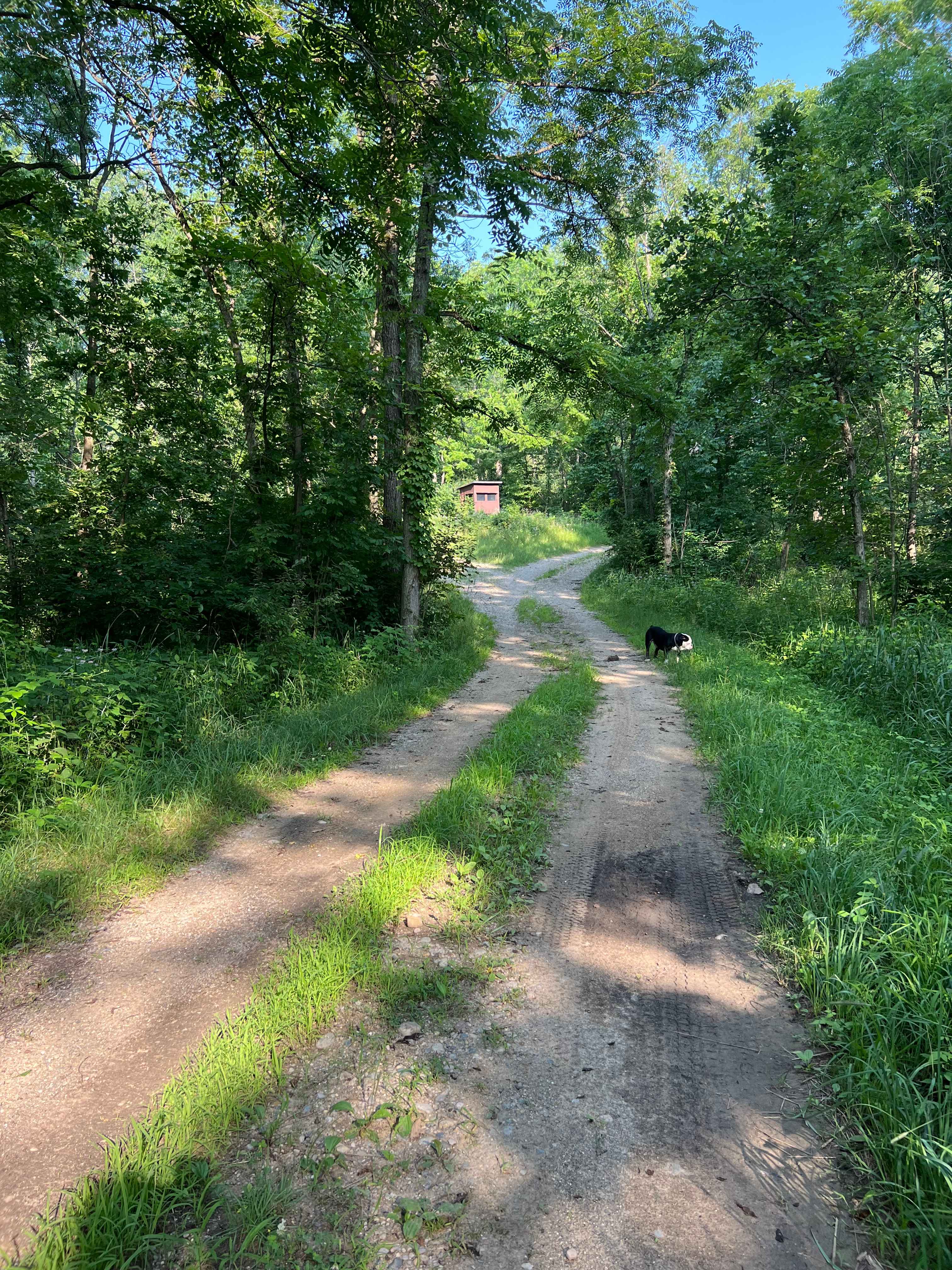Trails