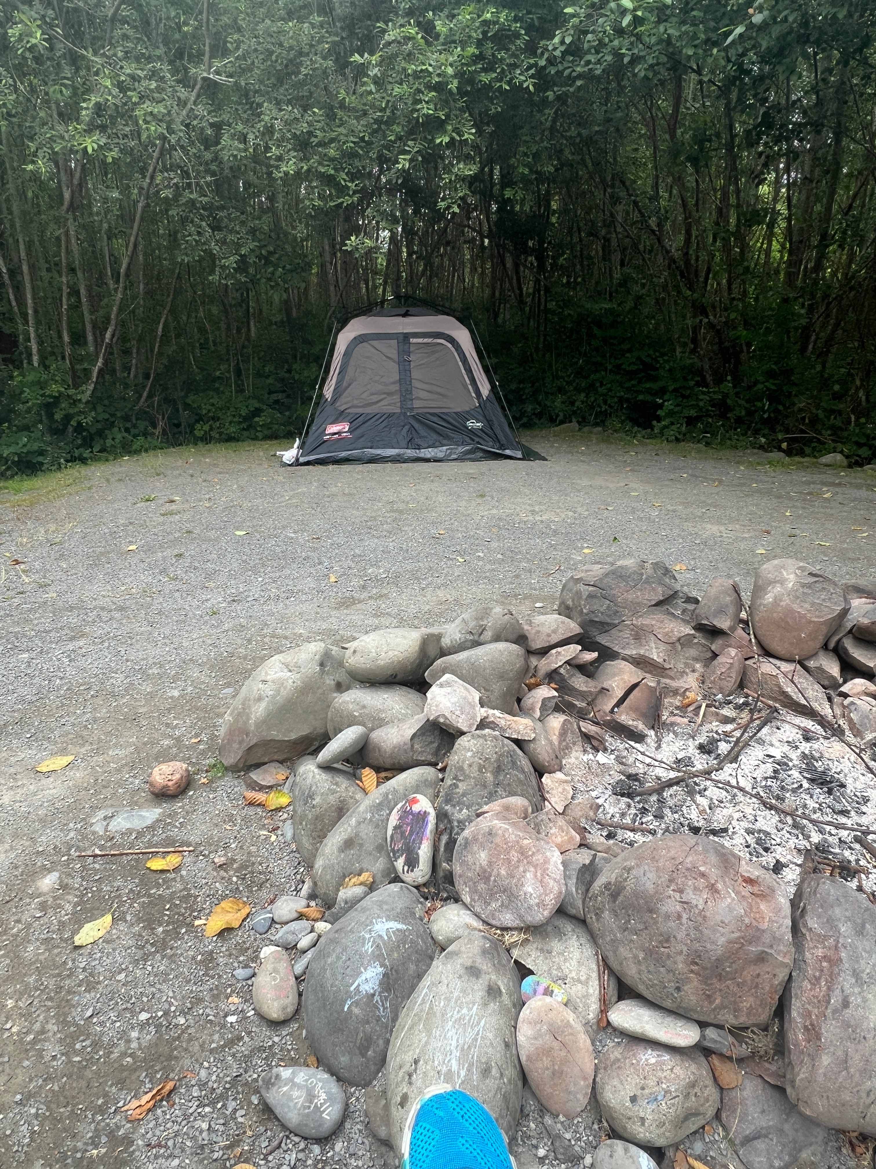 Hoh River Campsites