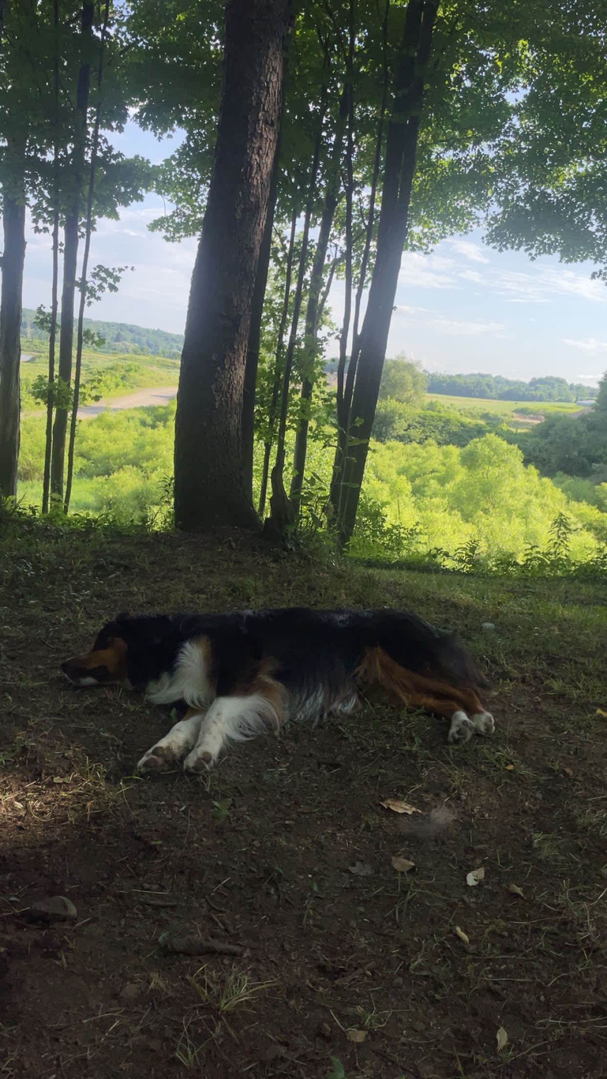 French Creek Flood Plain Overlook
