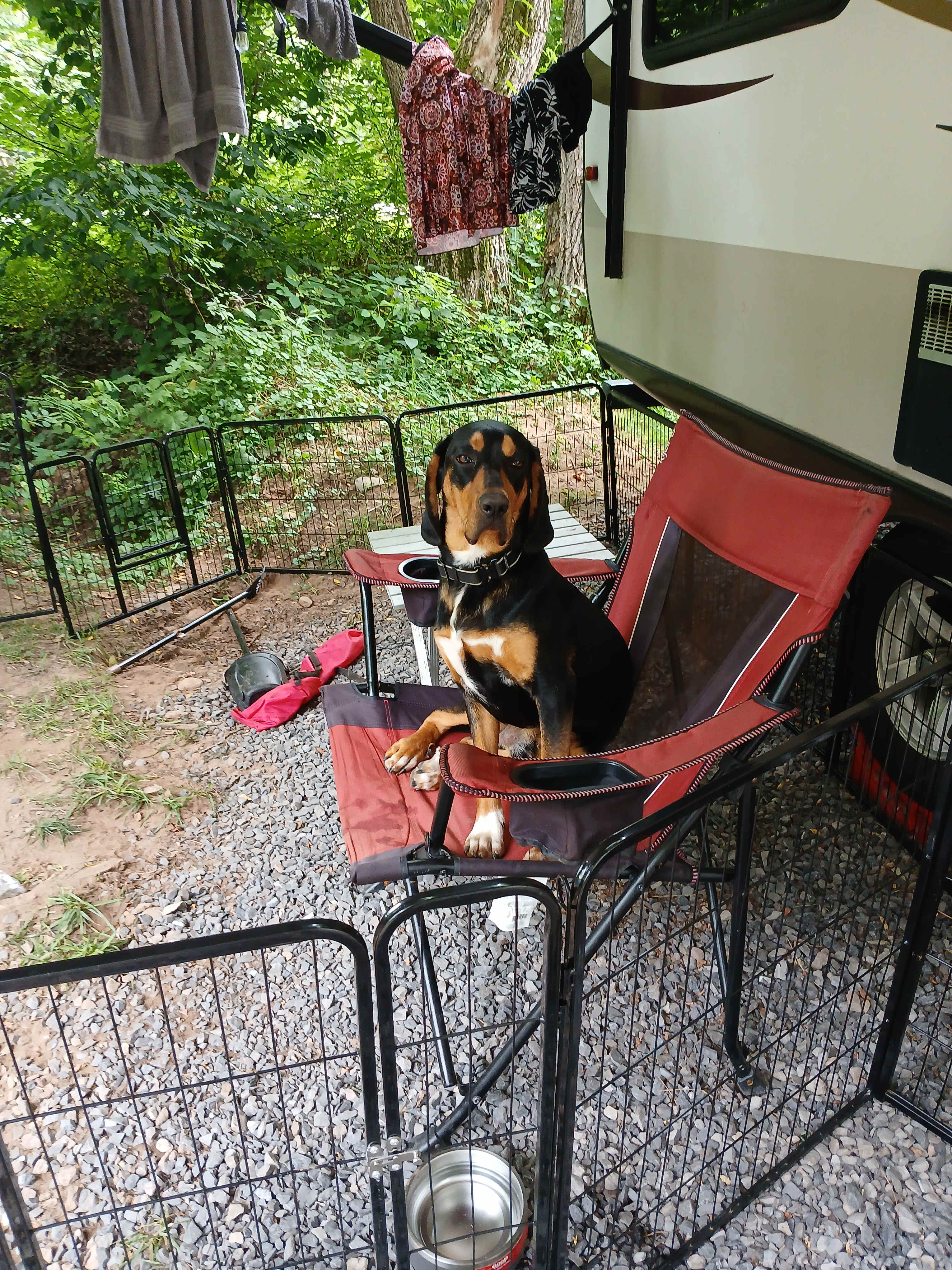 Cletus enjoying camp