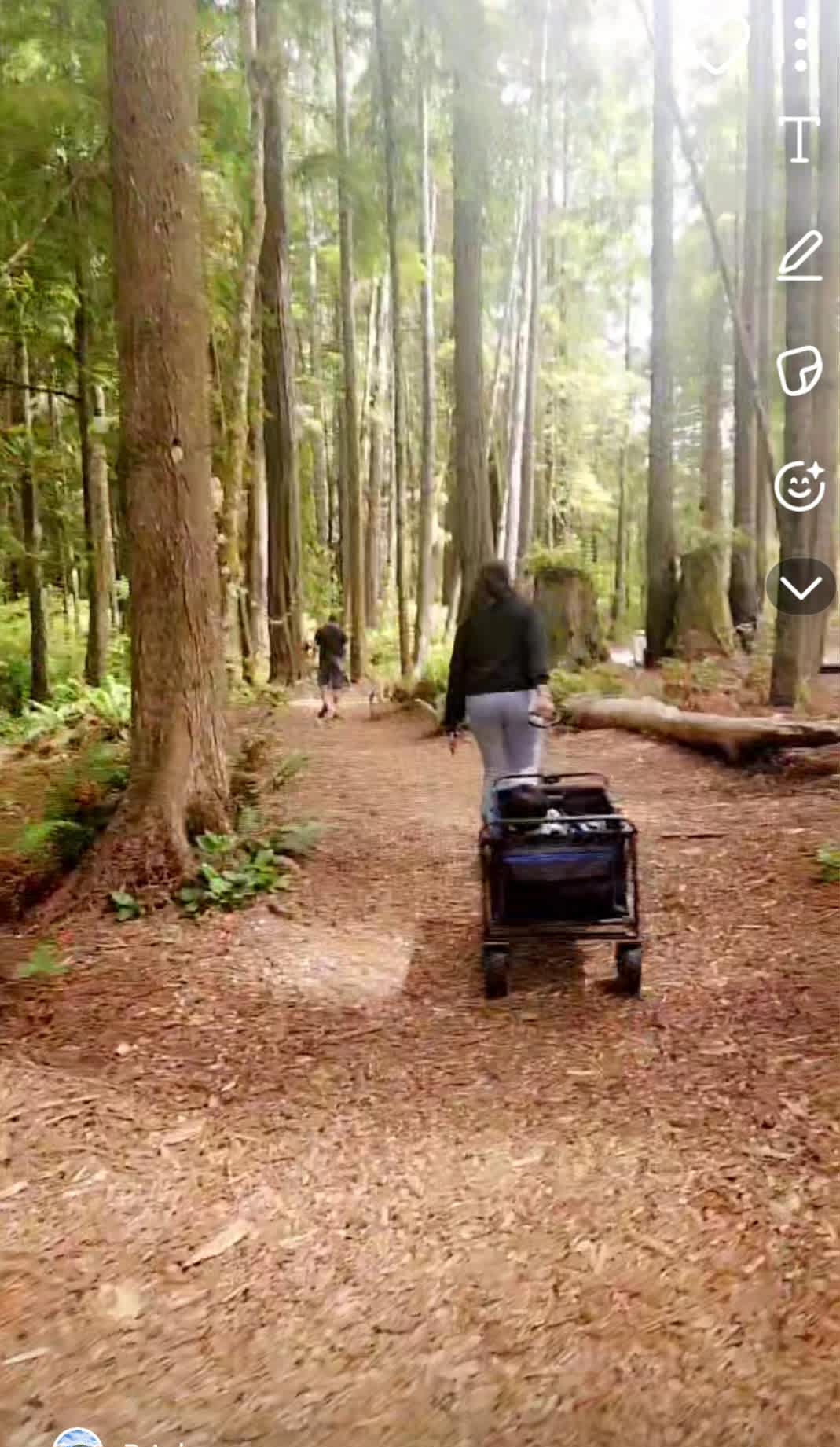 Walking to cabin