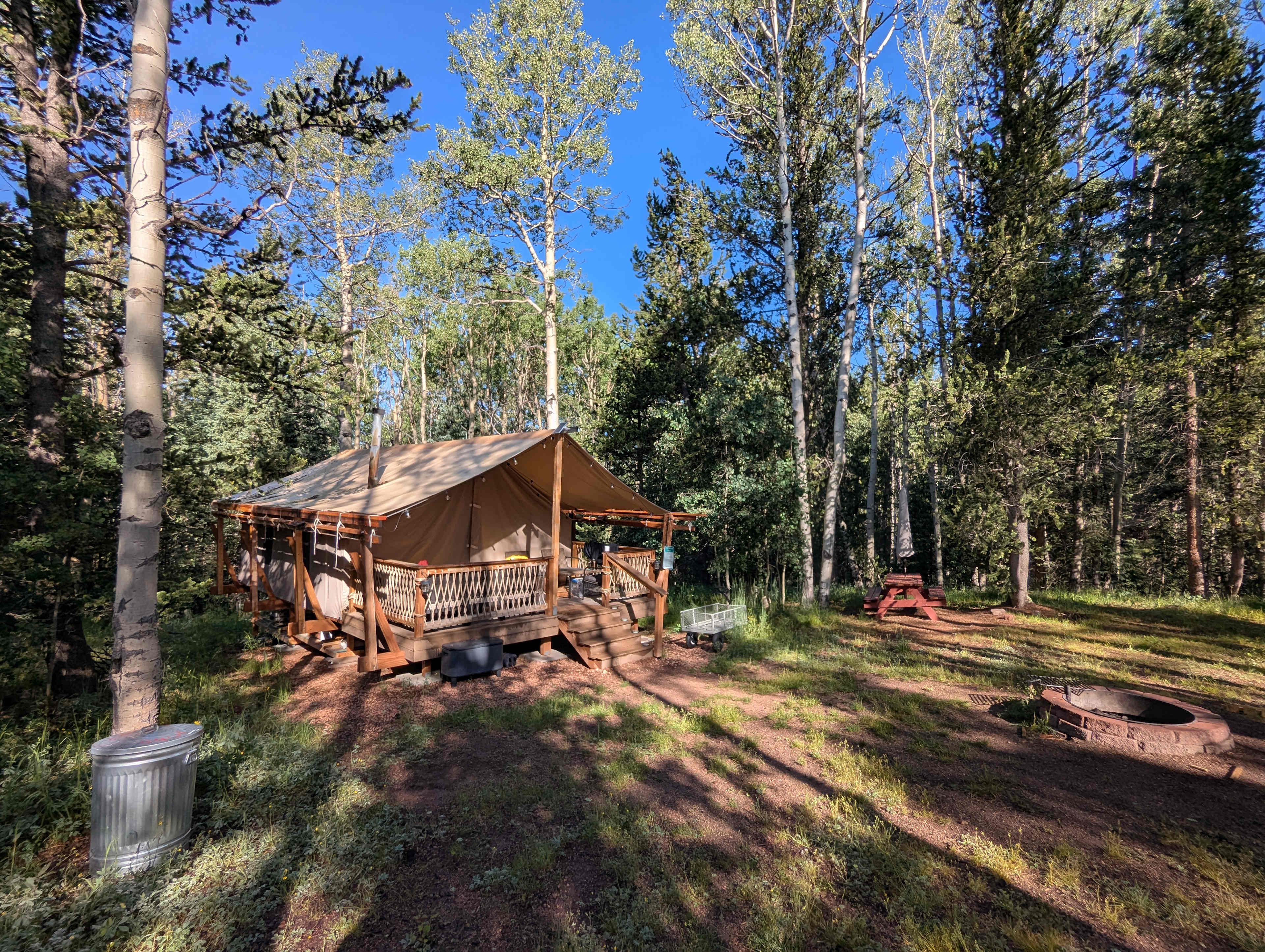 Quaking Aspens Campsite- For Kids!