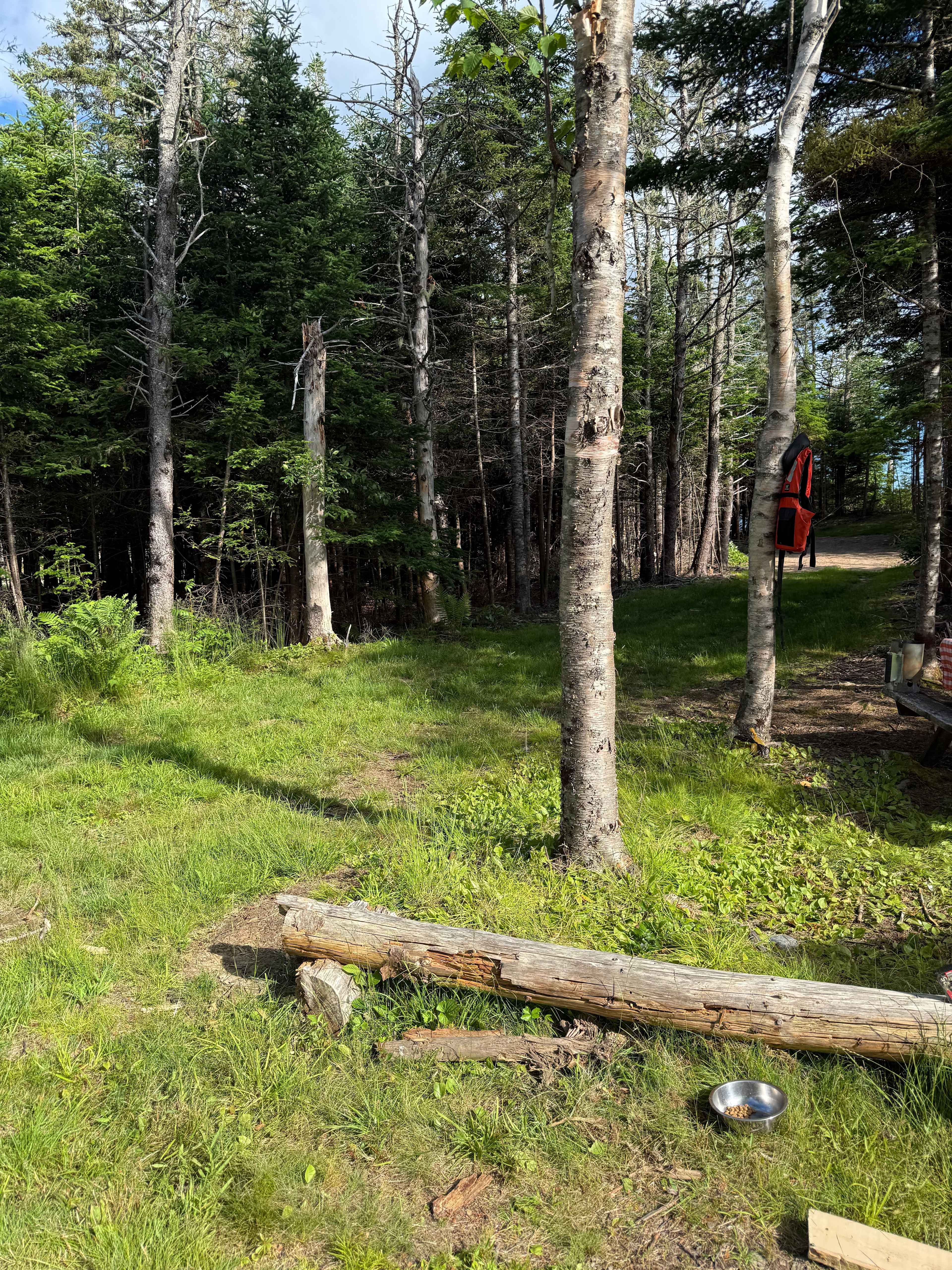 Wild Islands Camping by the Sea