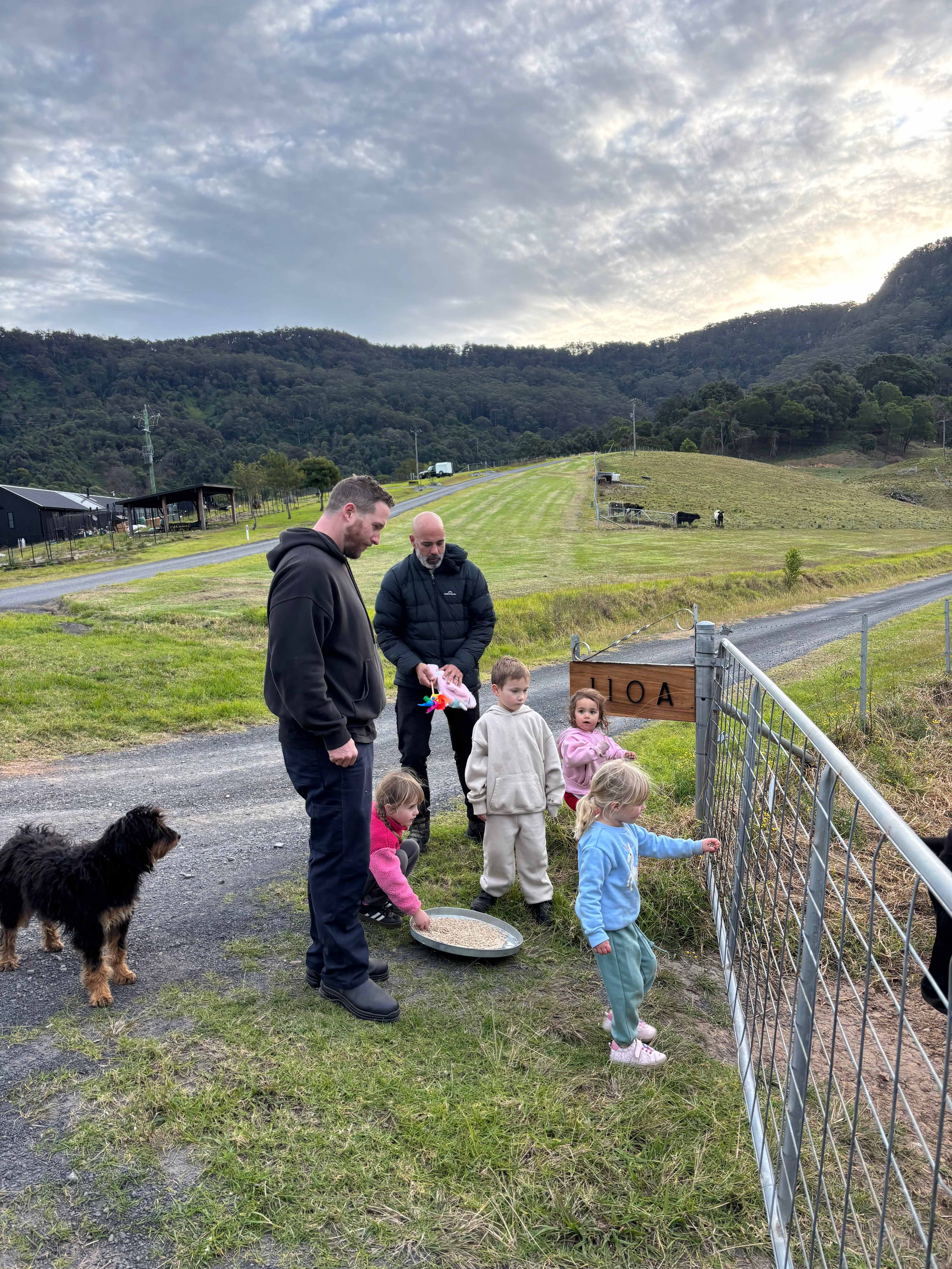 Young Macdonald’s Farm