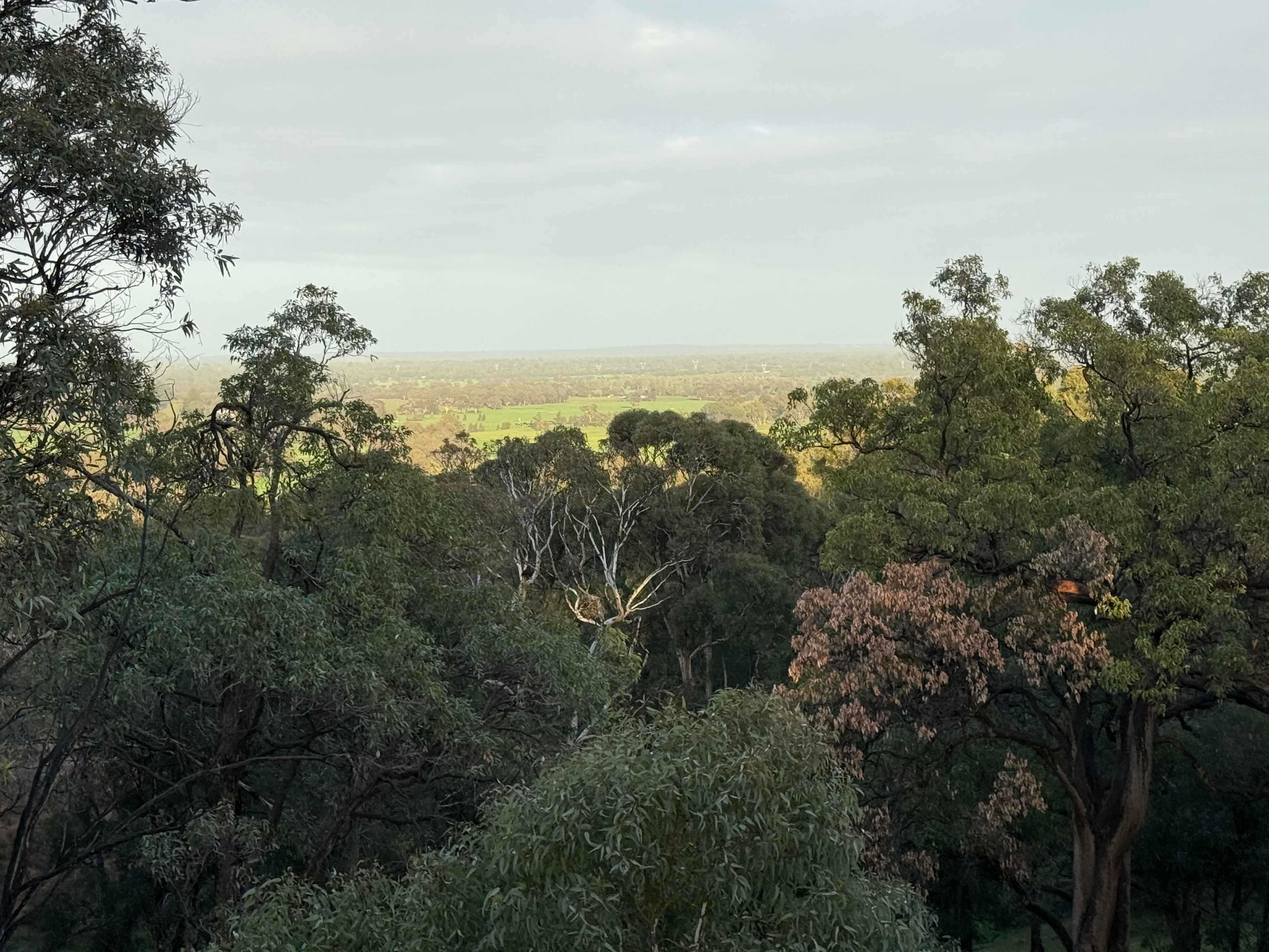 Yarrabah High Country- Jarrahdale