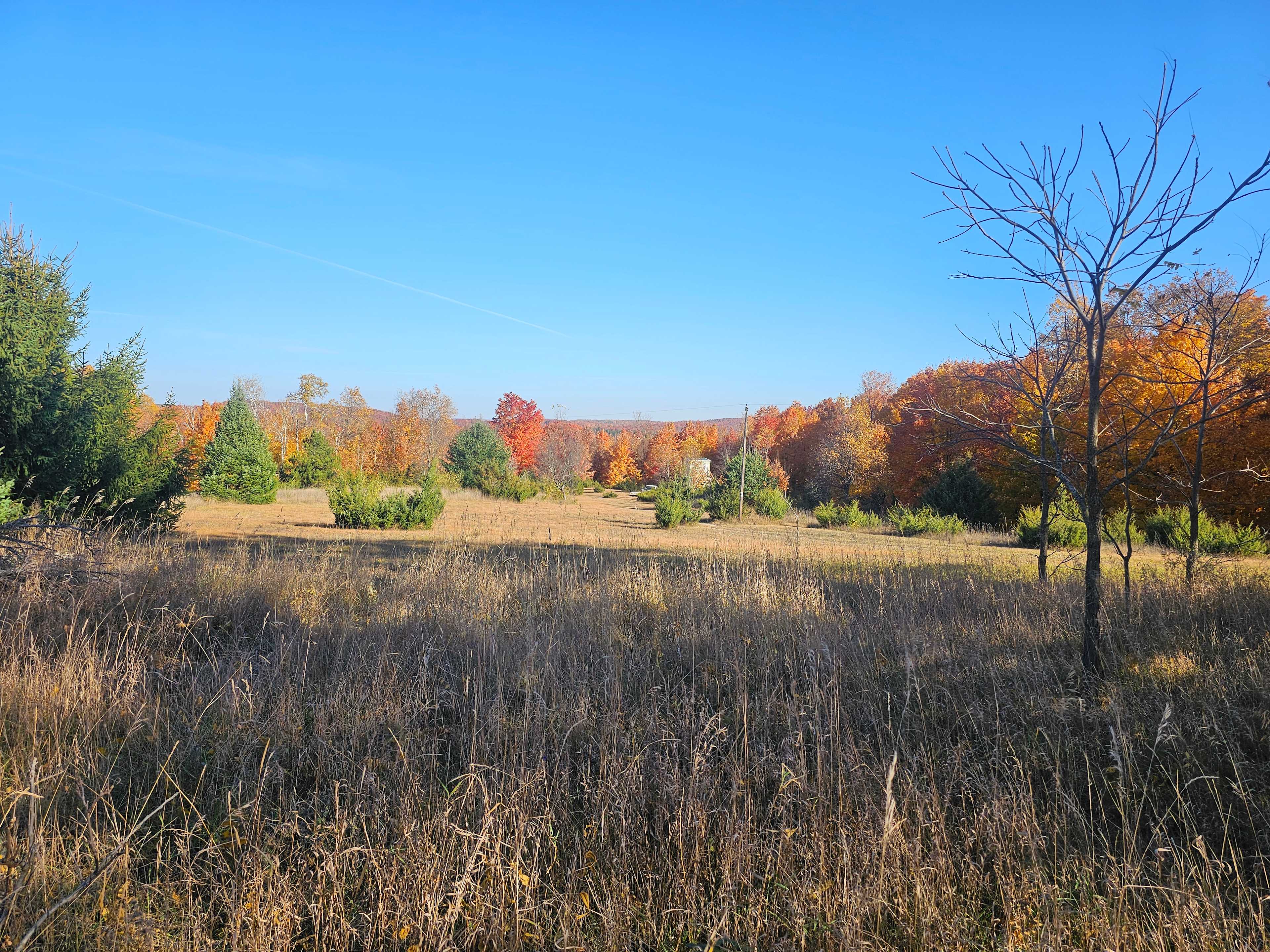 Raven Ridge Overlook