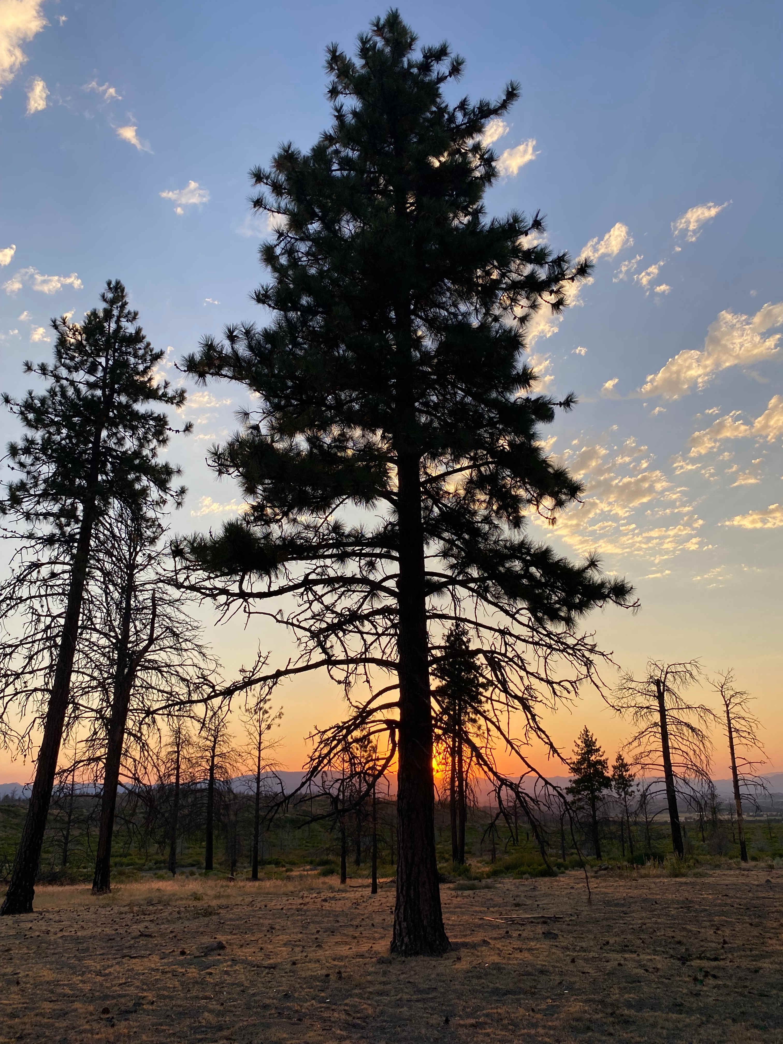 Juniper Valley Campsites