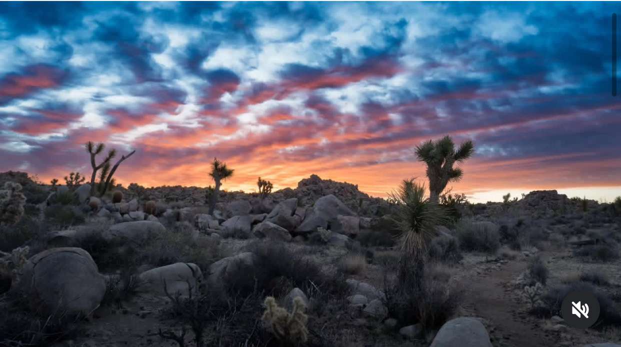 Joshua Tree National Park 