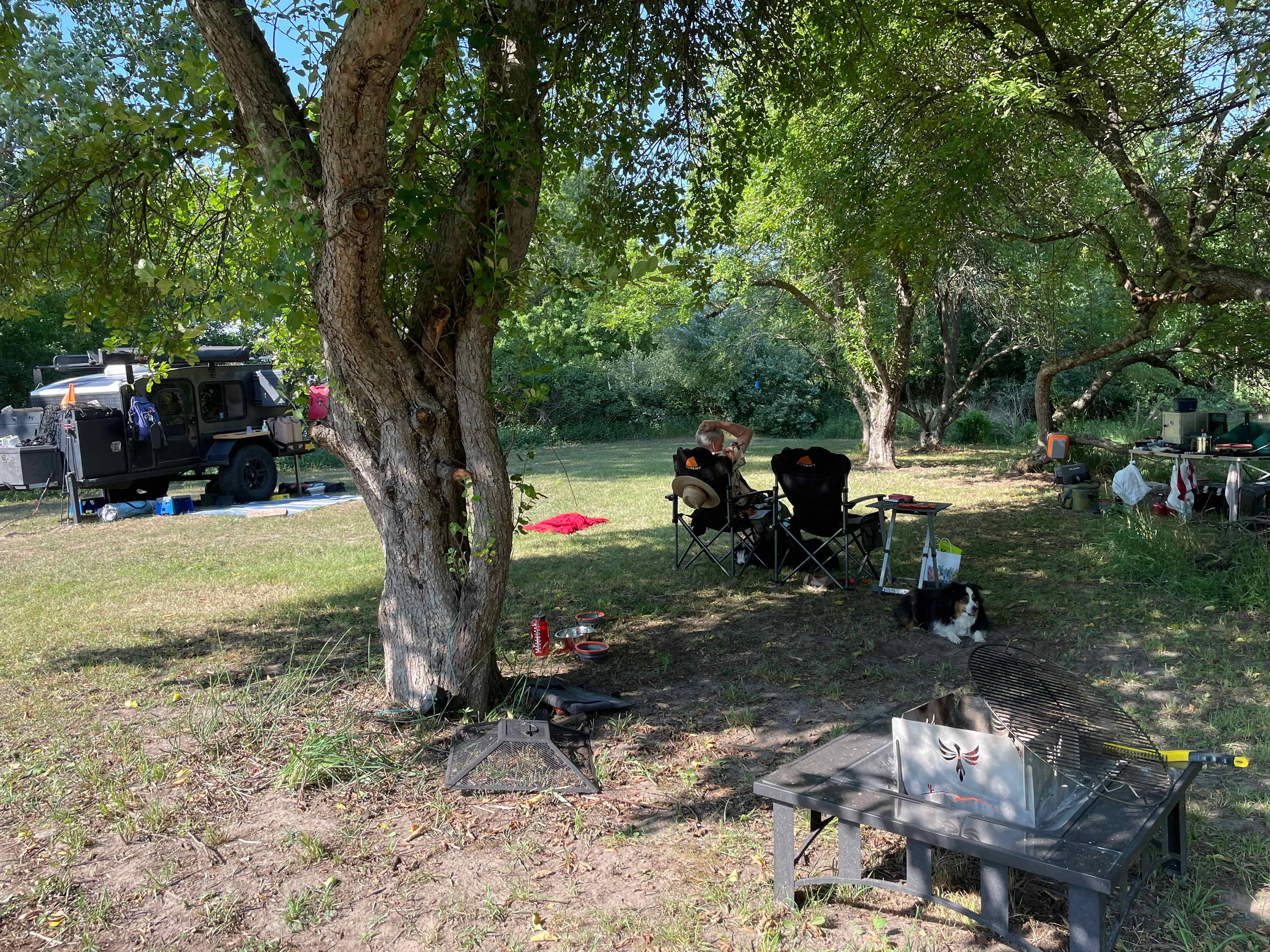 Under the apple trees 