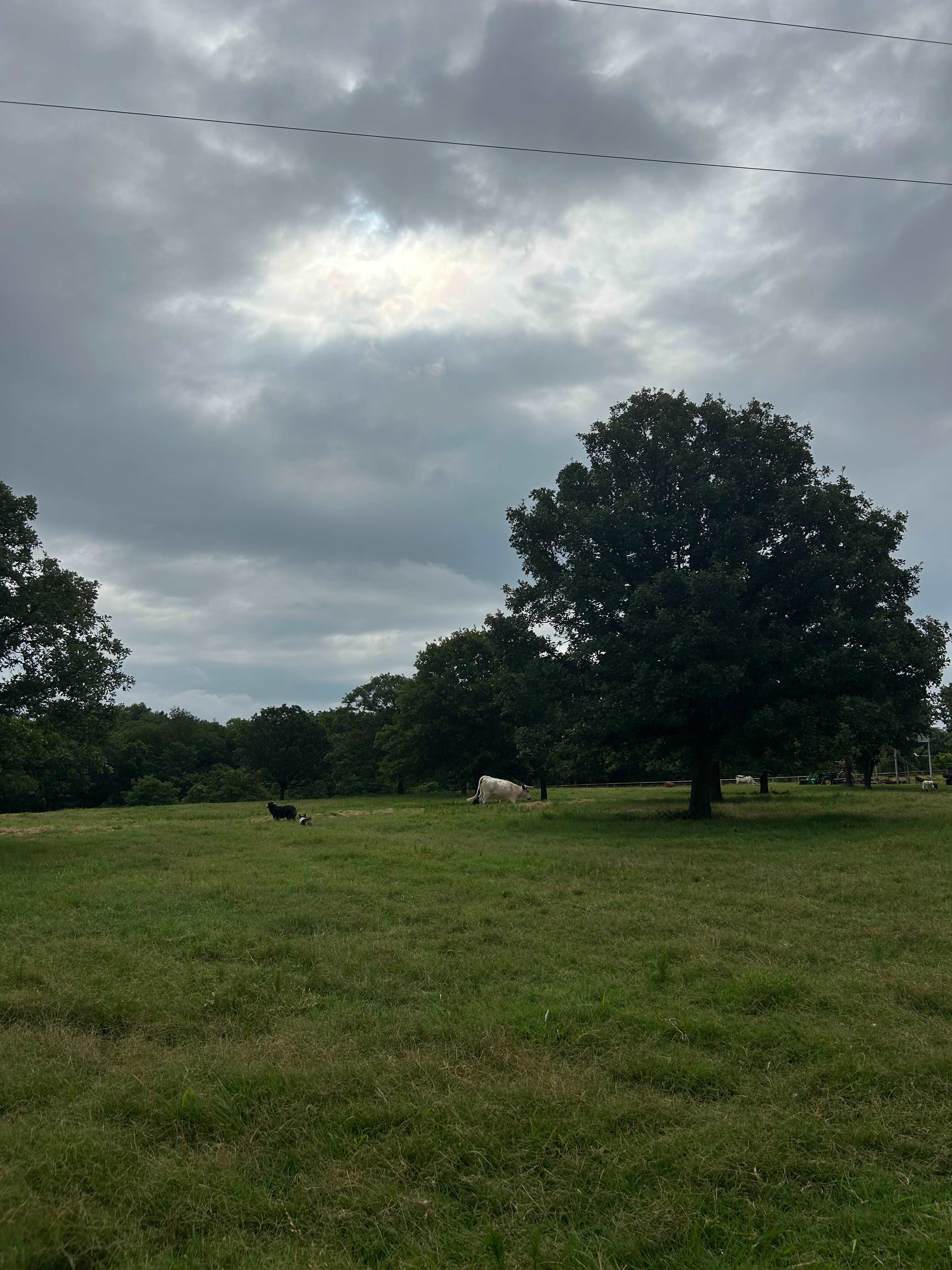 K.C. Ranch