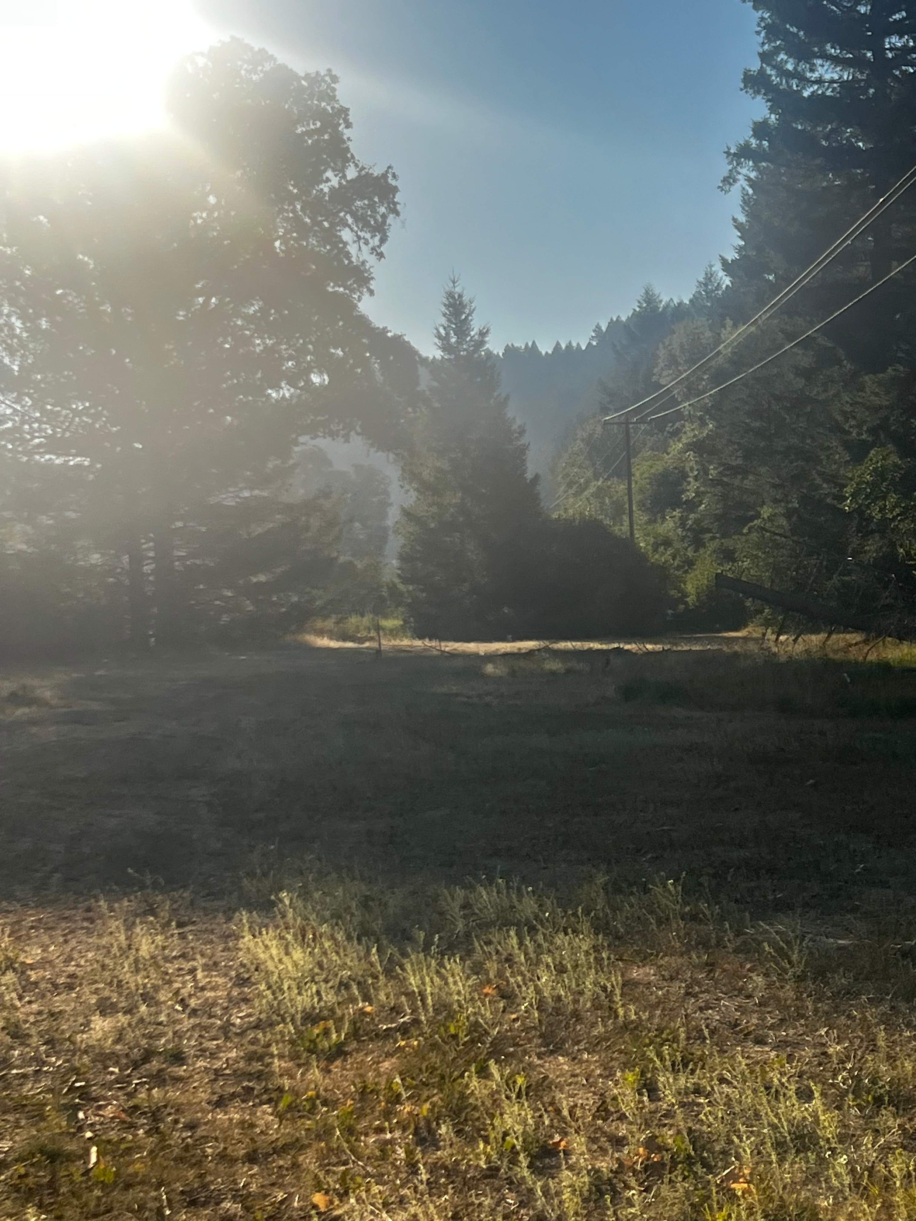 Primal Lands at OZ Family Farm