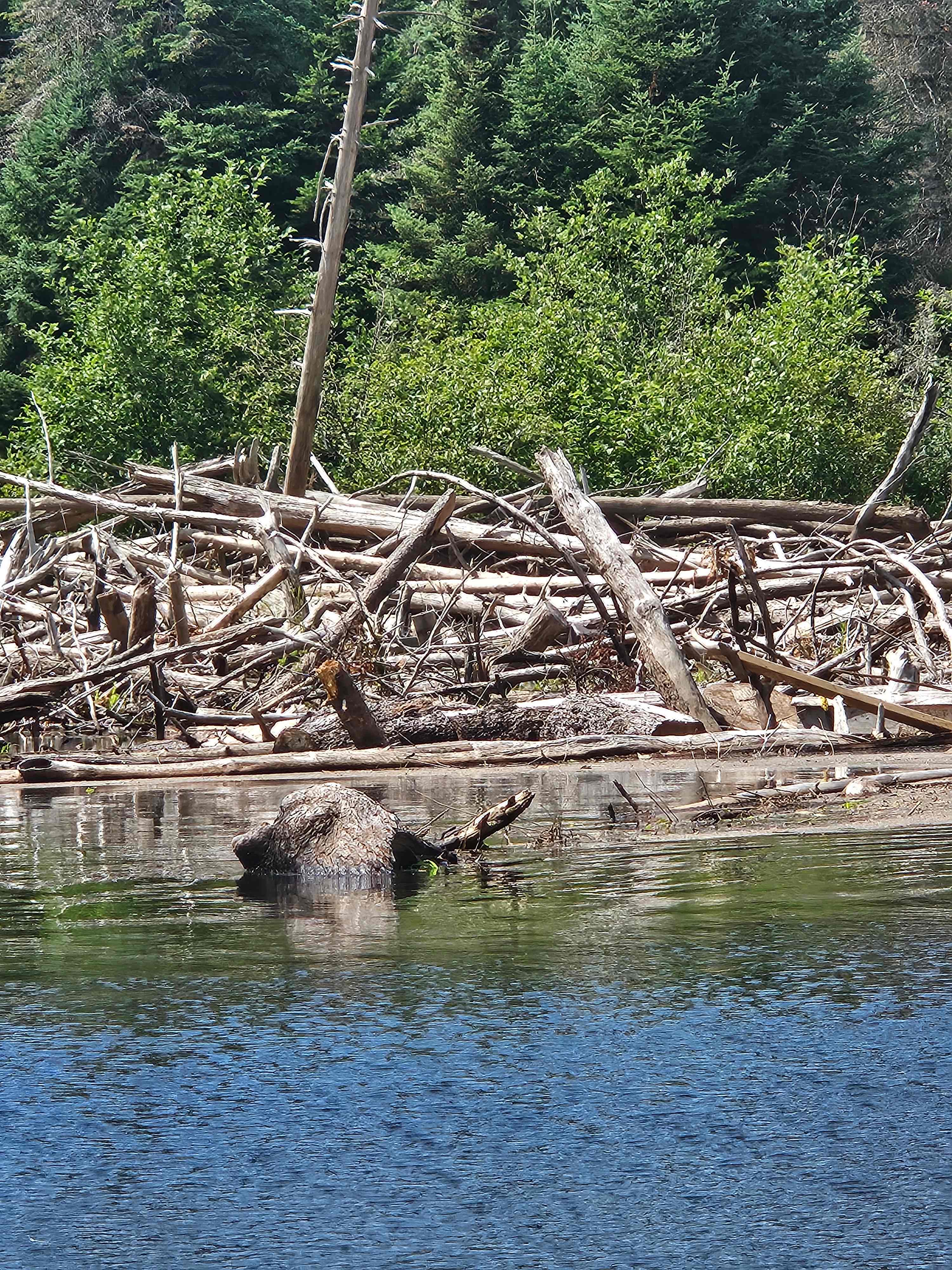 This will stop u from reaching Furnace Falls. The kayak trip is worth it