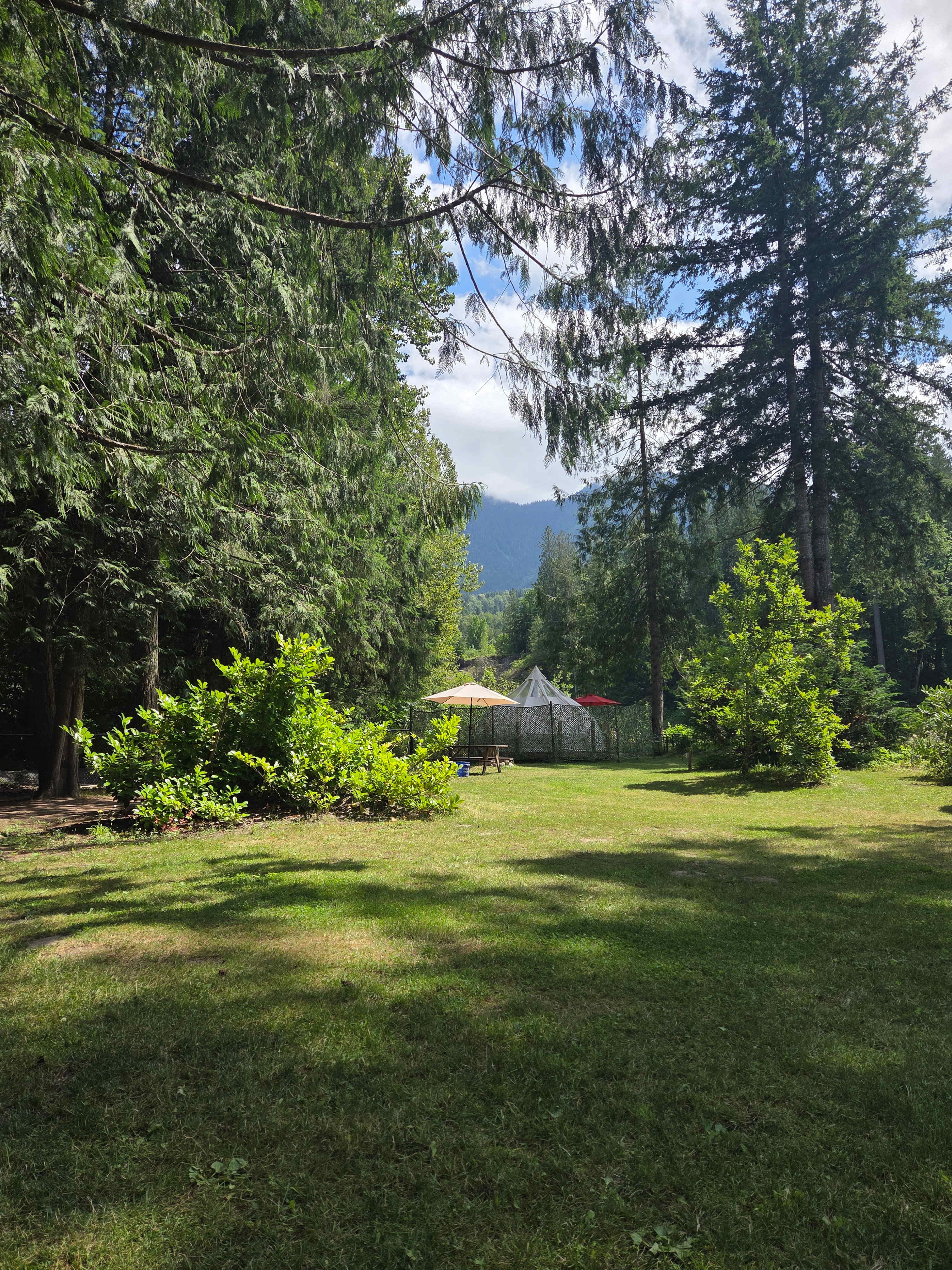 Living Large on Chilliwack River