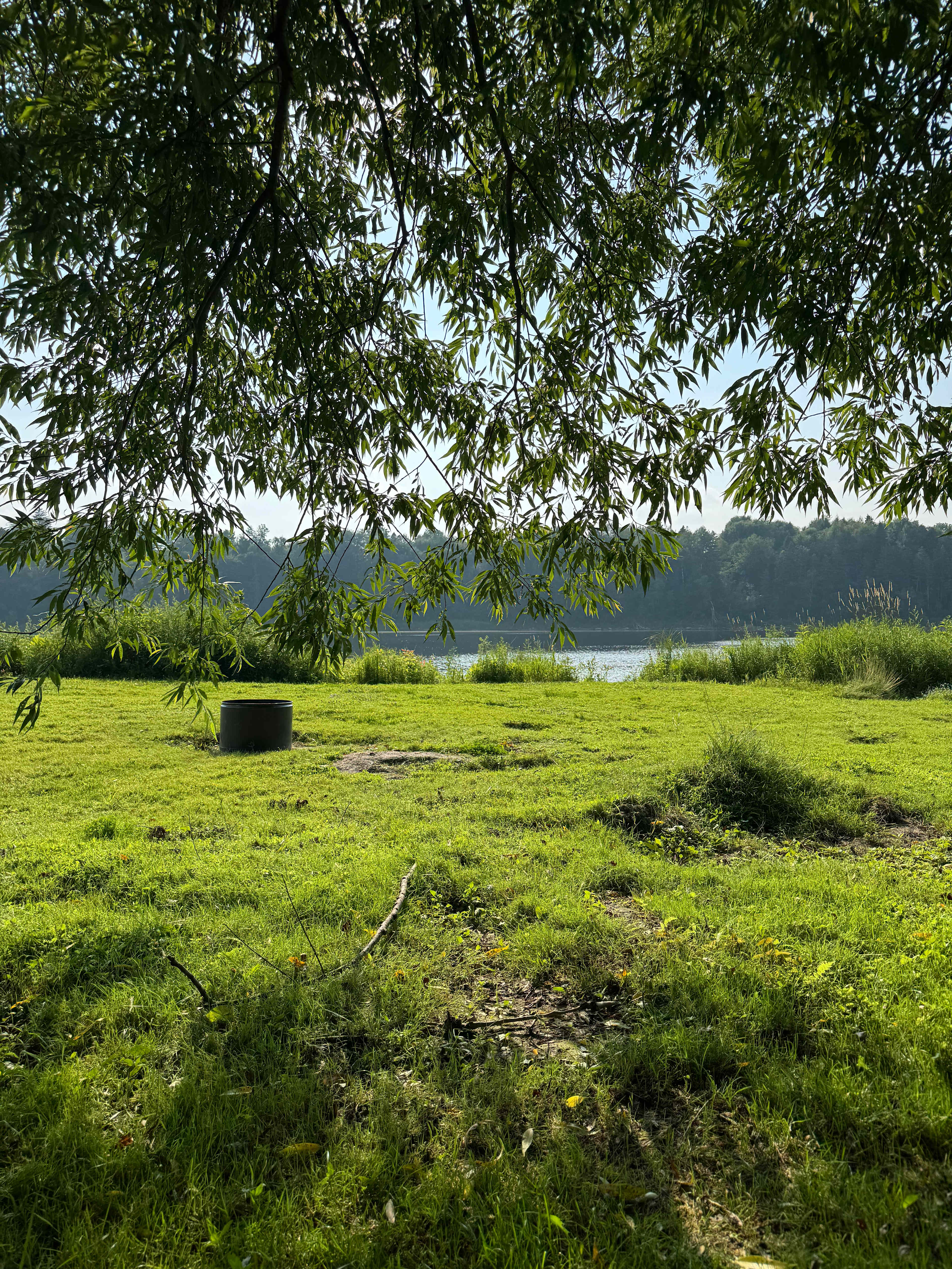 Au Petit Chat de la Riviere