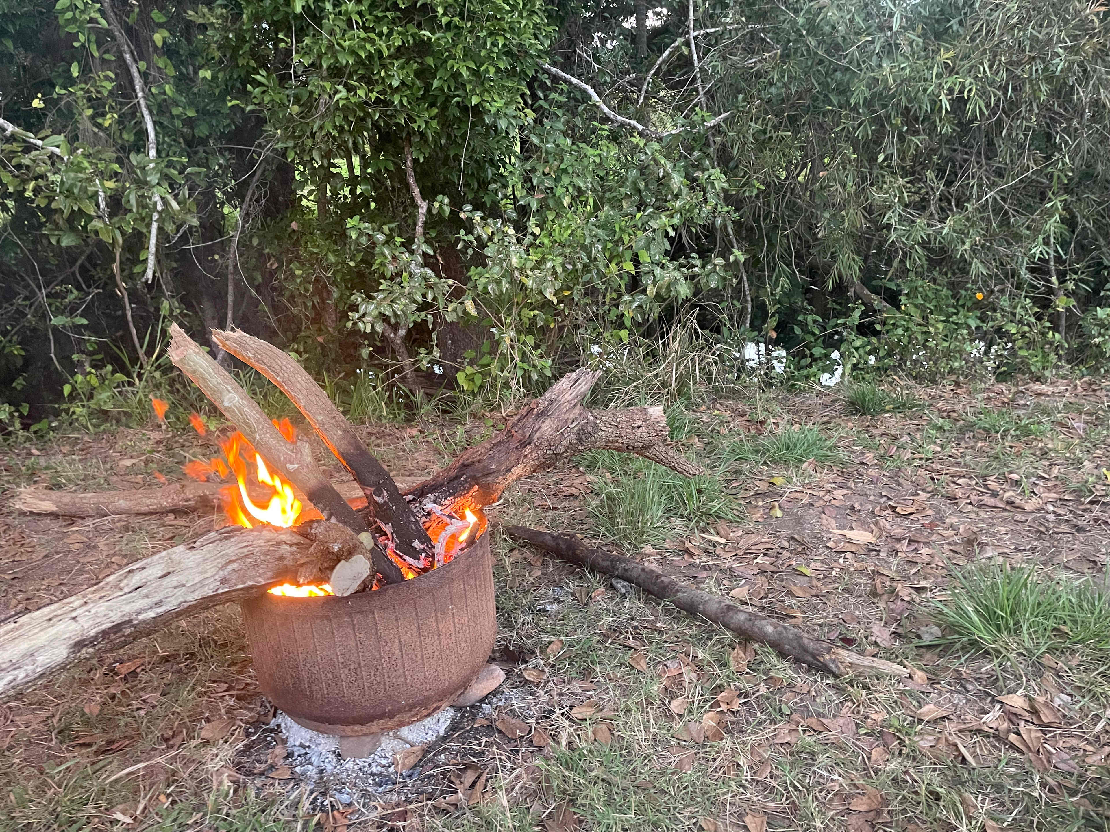 Fireplace provided with option to buy timber