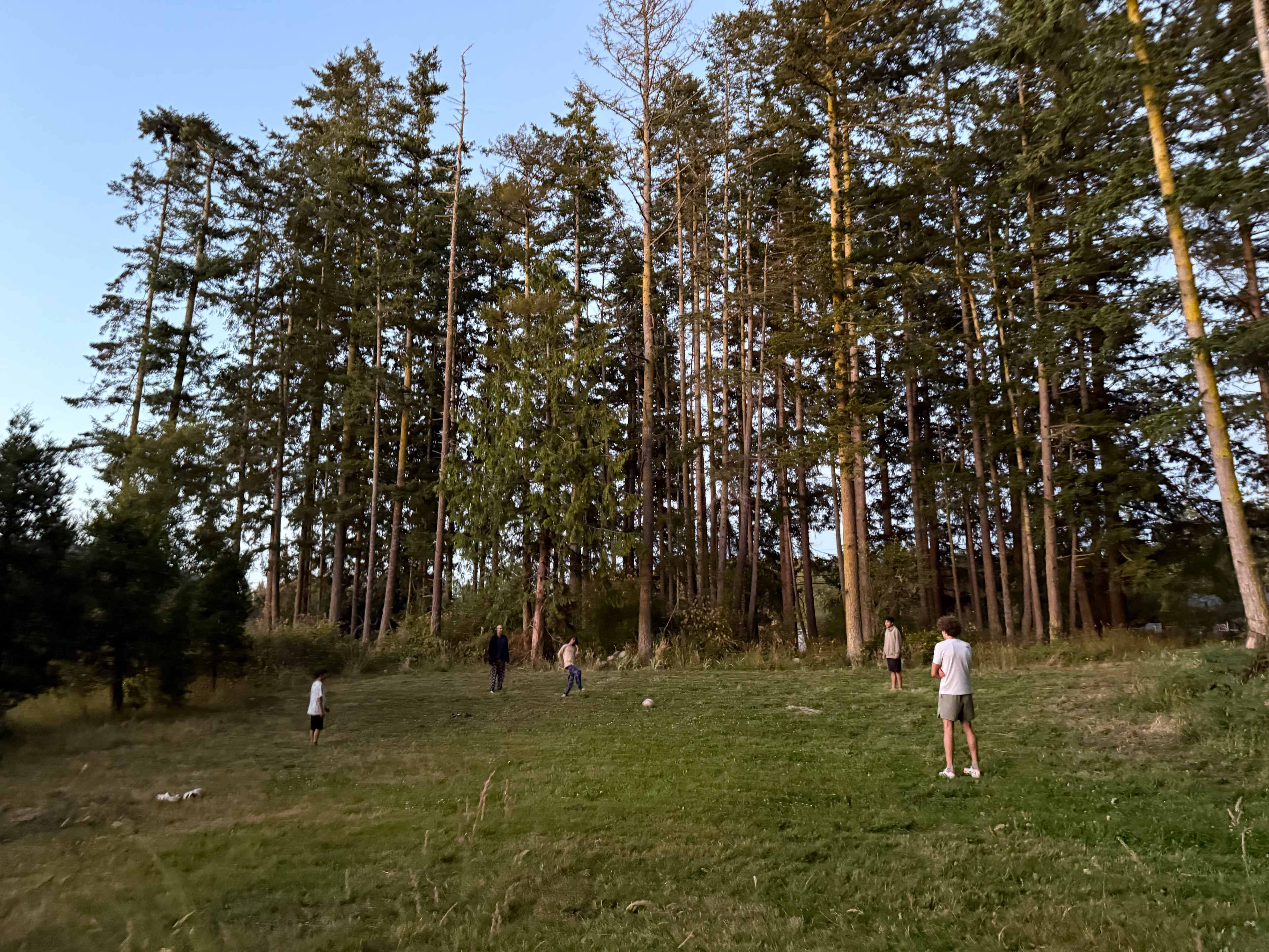 Activity-large field 