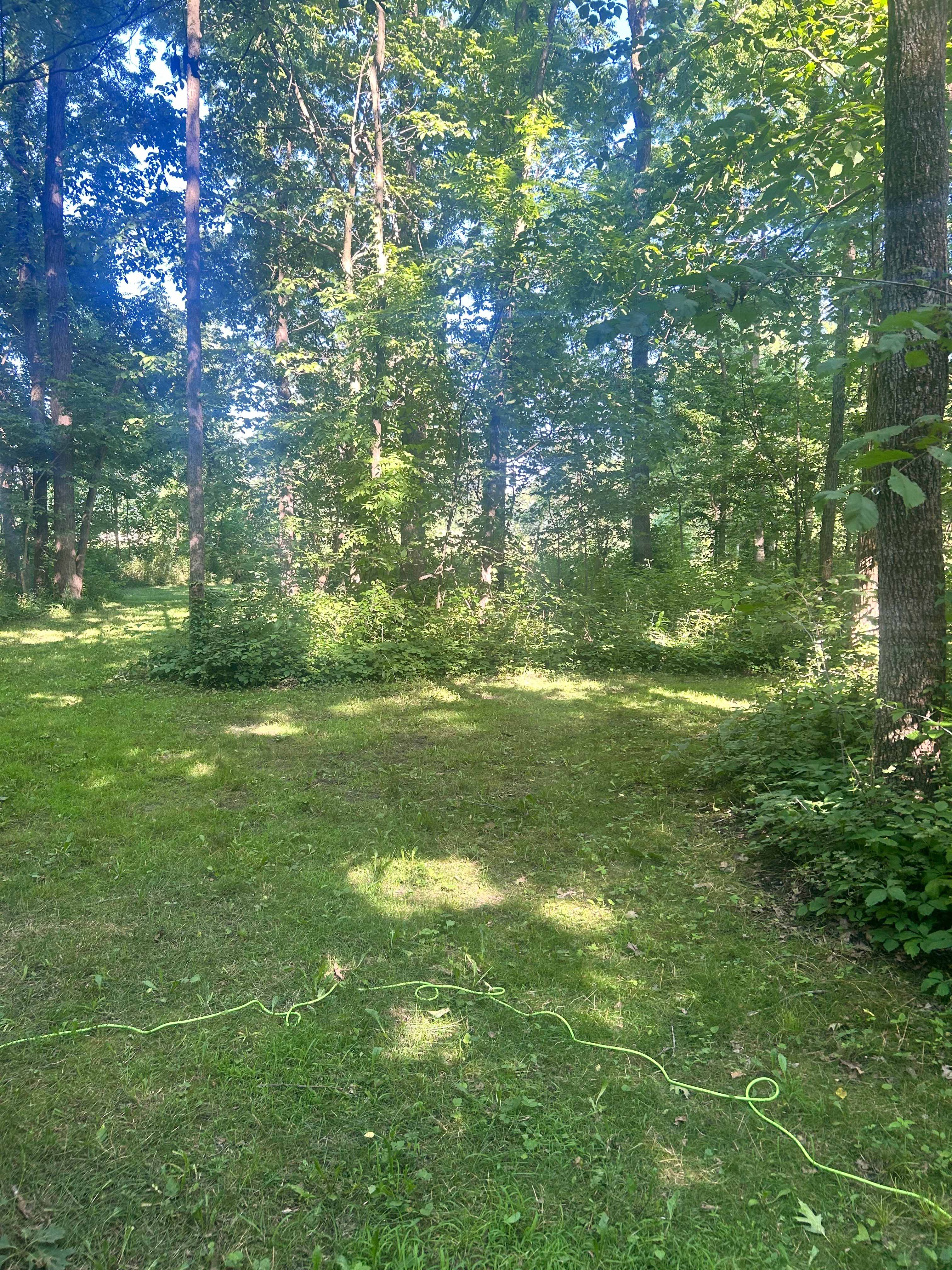 A view from Site 2. Adjacent to bathroom/shower building. 