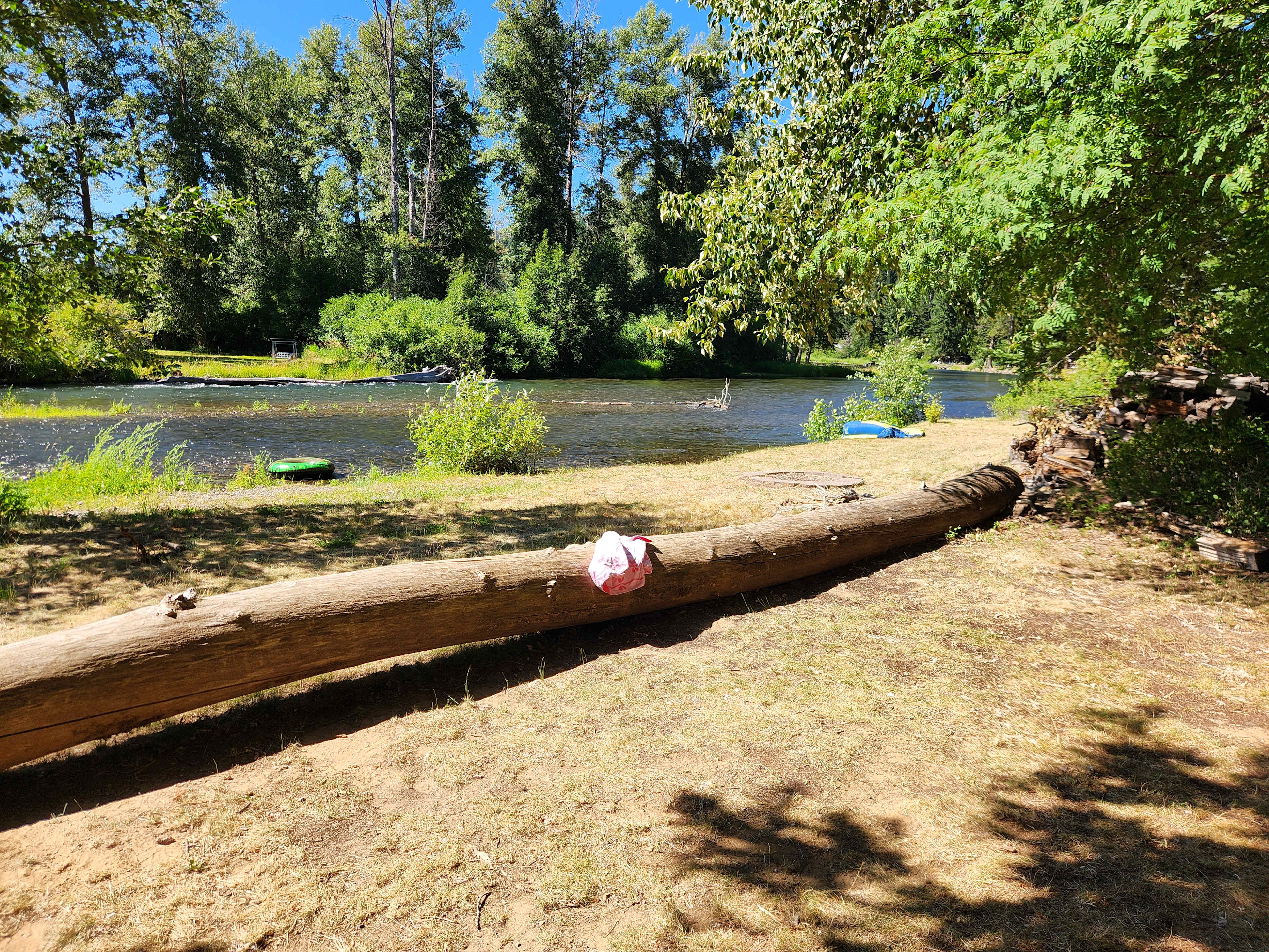 Heron's Rookery at Yakima River
