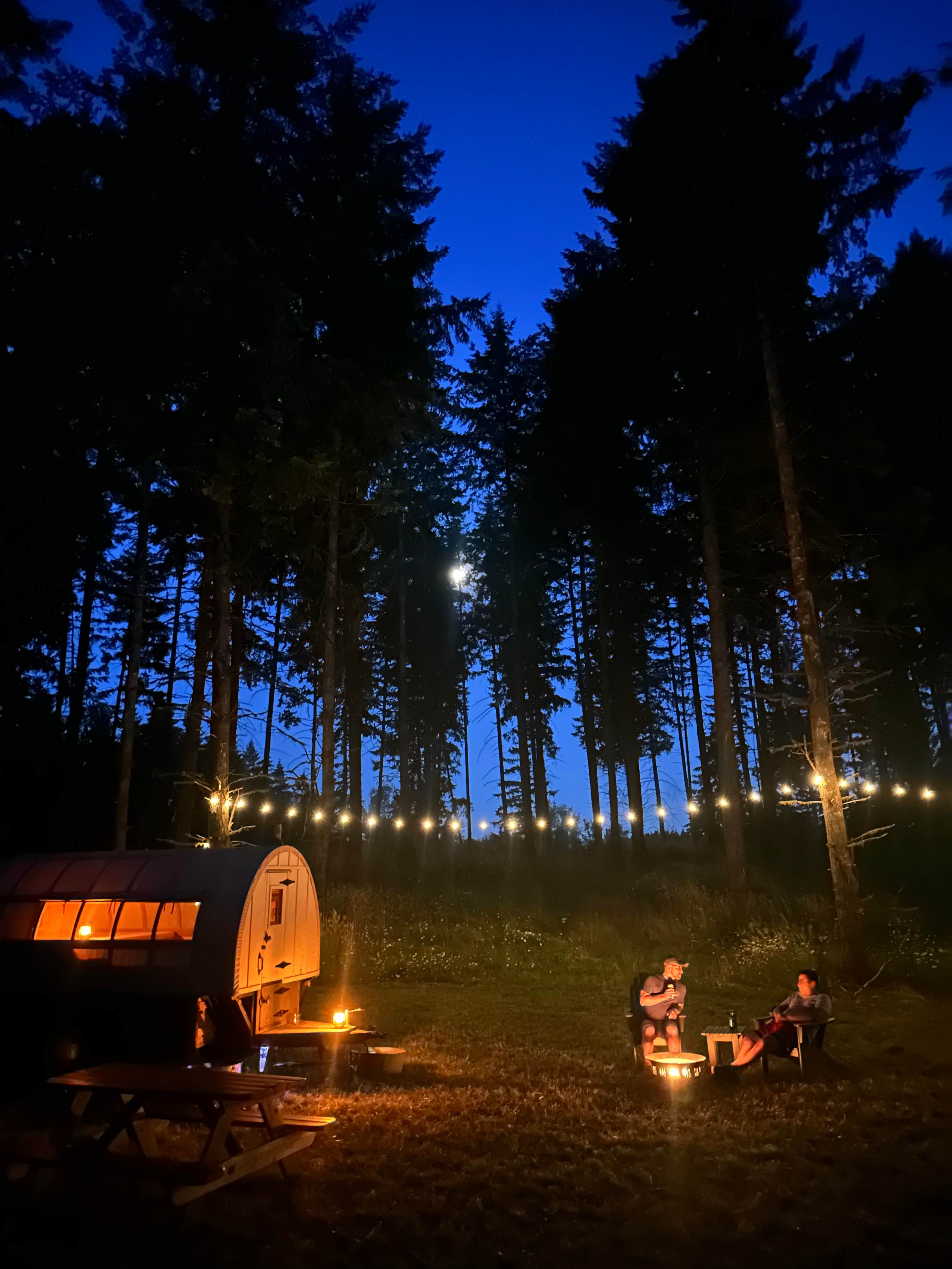 Oregon Trail Wagon Farm Stay