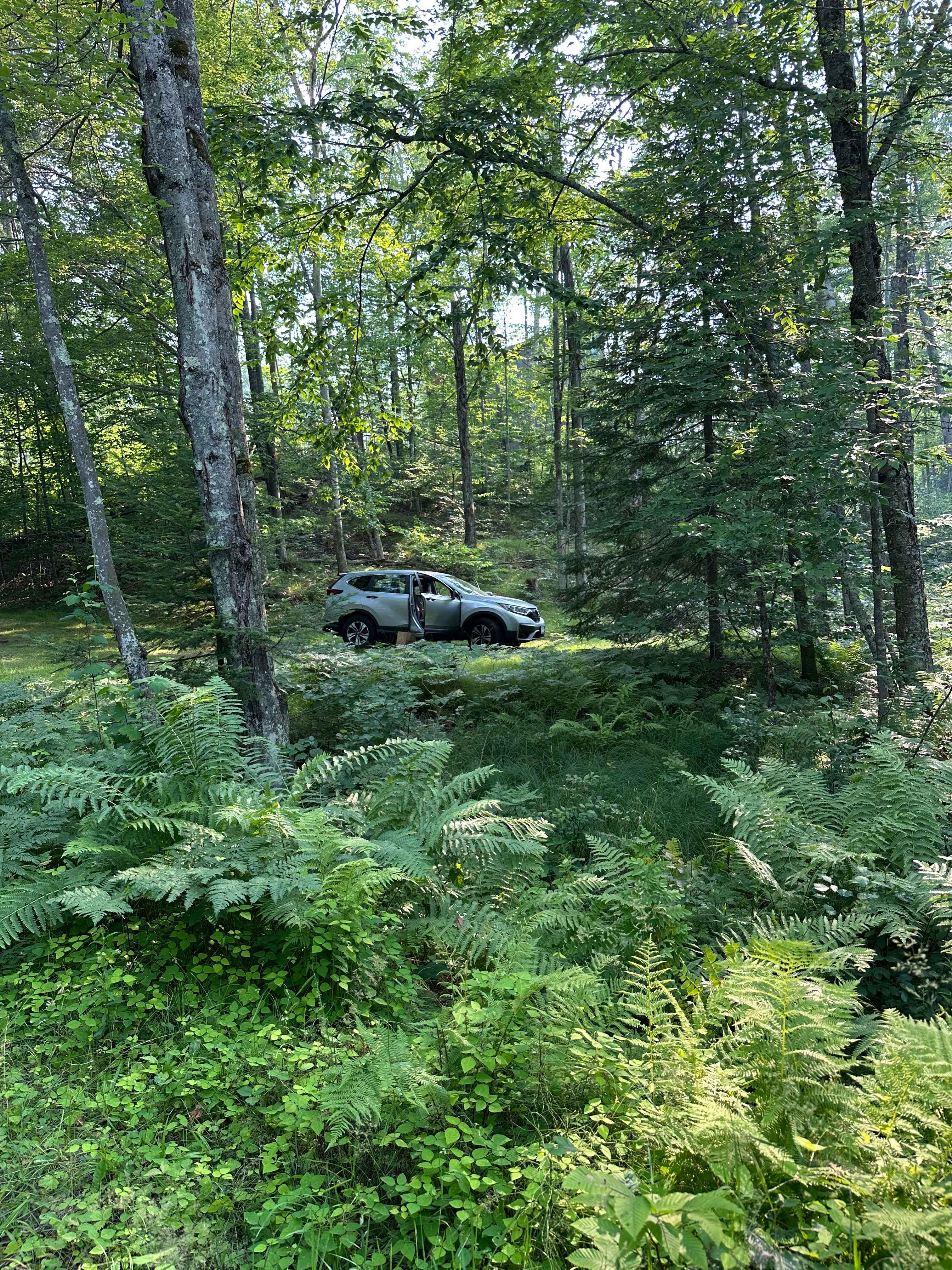 Campsite from dock