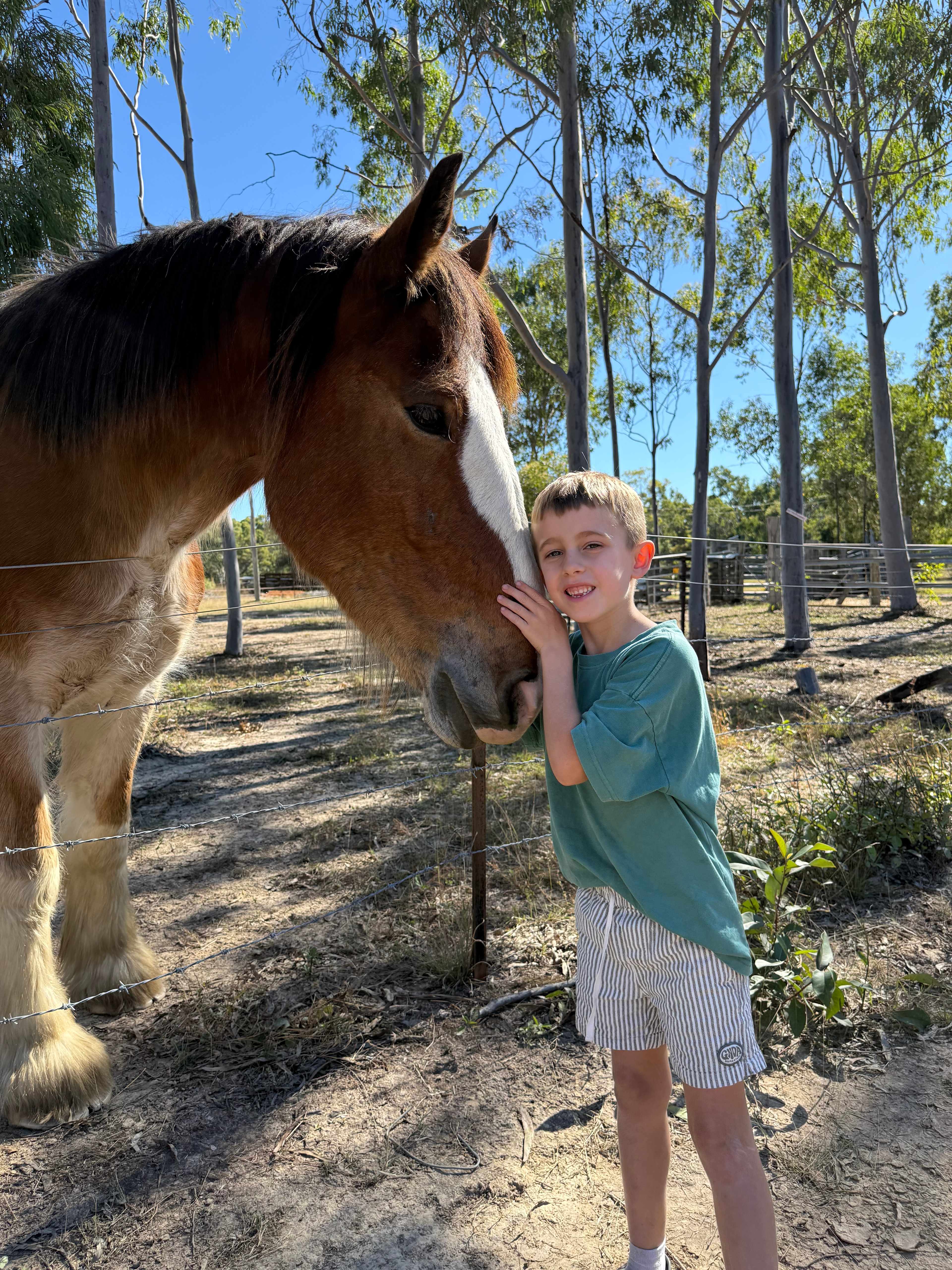 Thyme Travellers Farm Stay