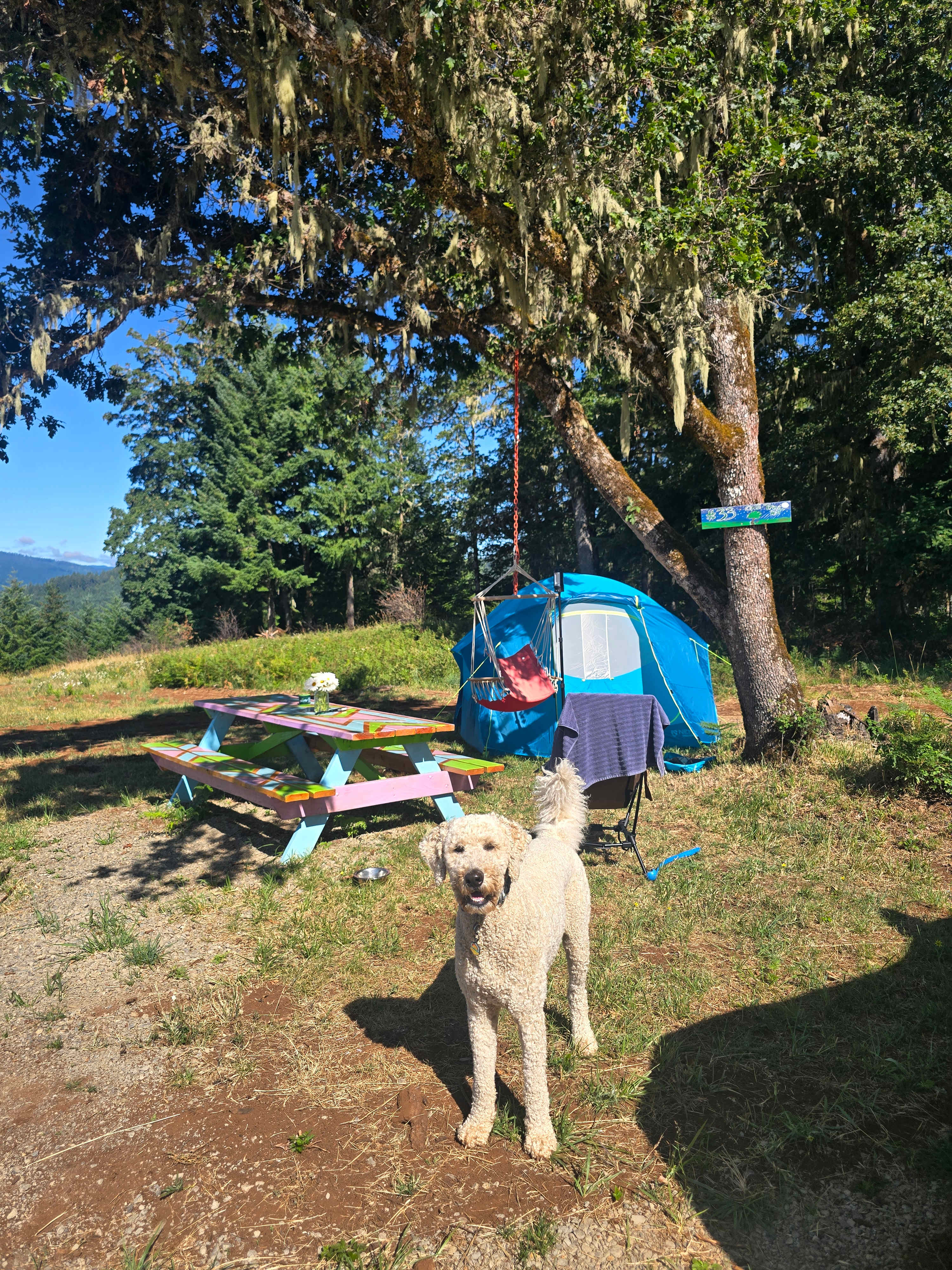 Moon Shadow Meadows-Closing July 8!