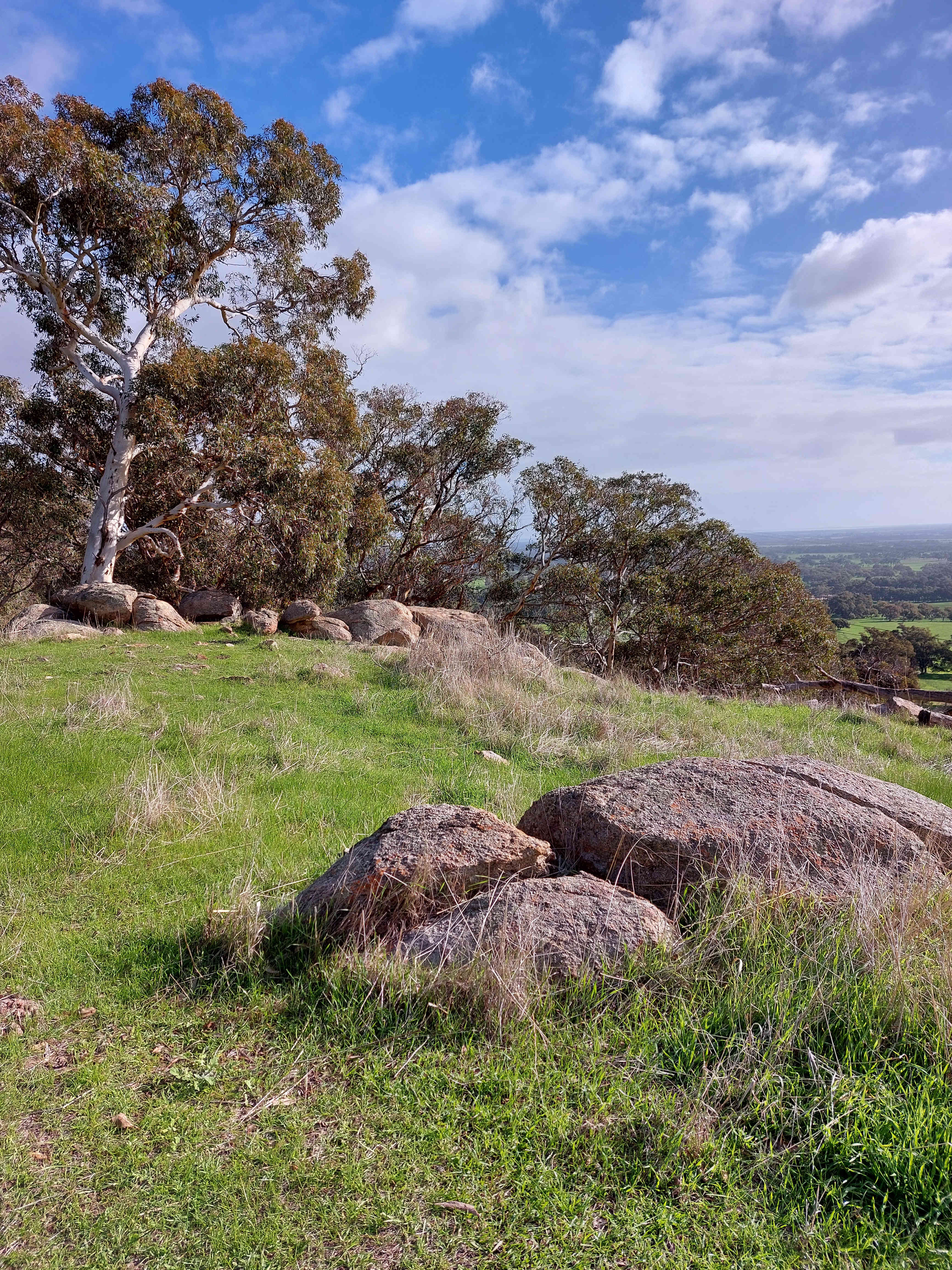 Jacaranda Hill Farm