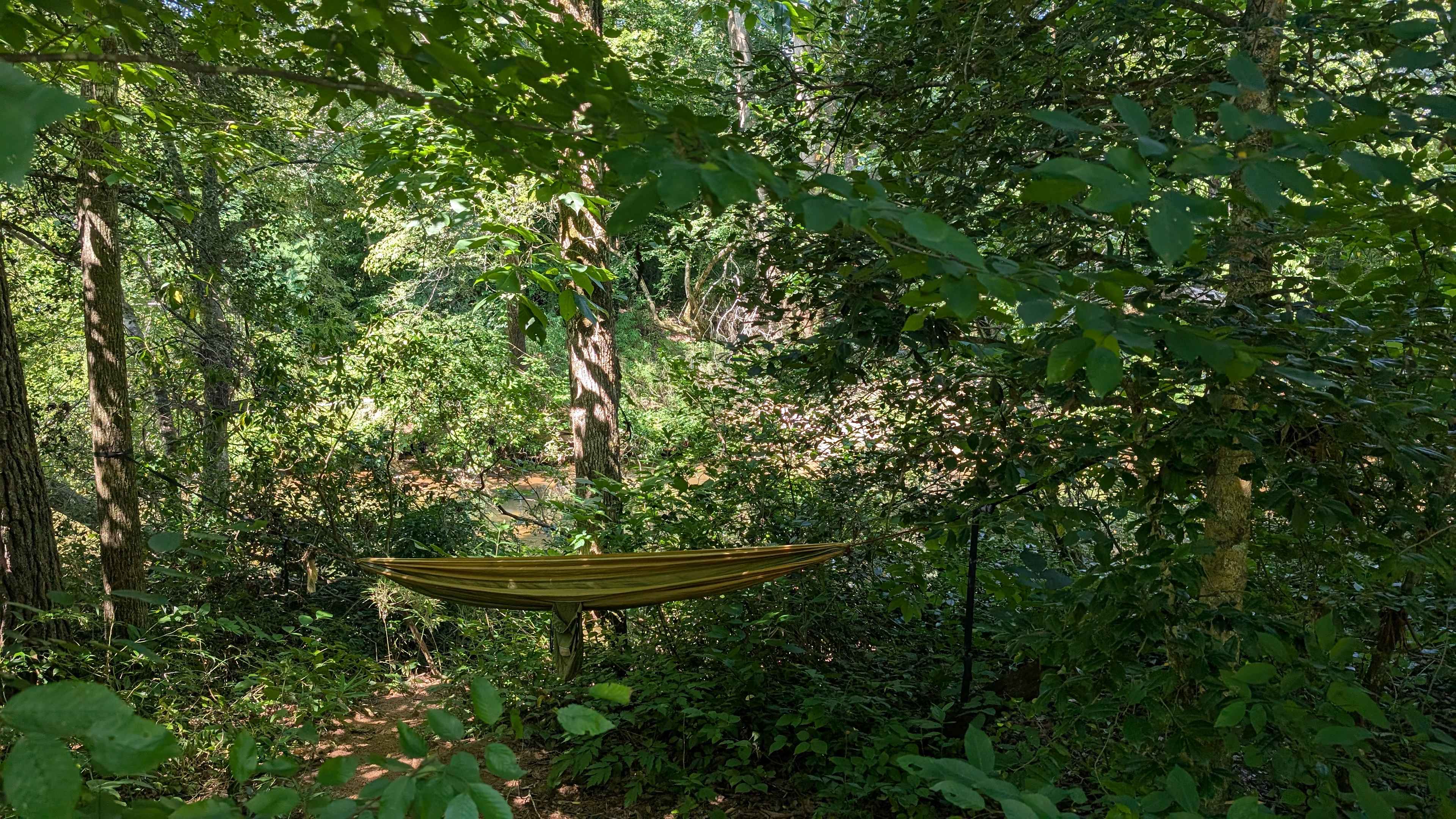 Hammock by the river 