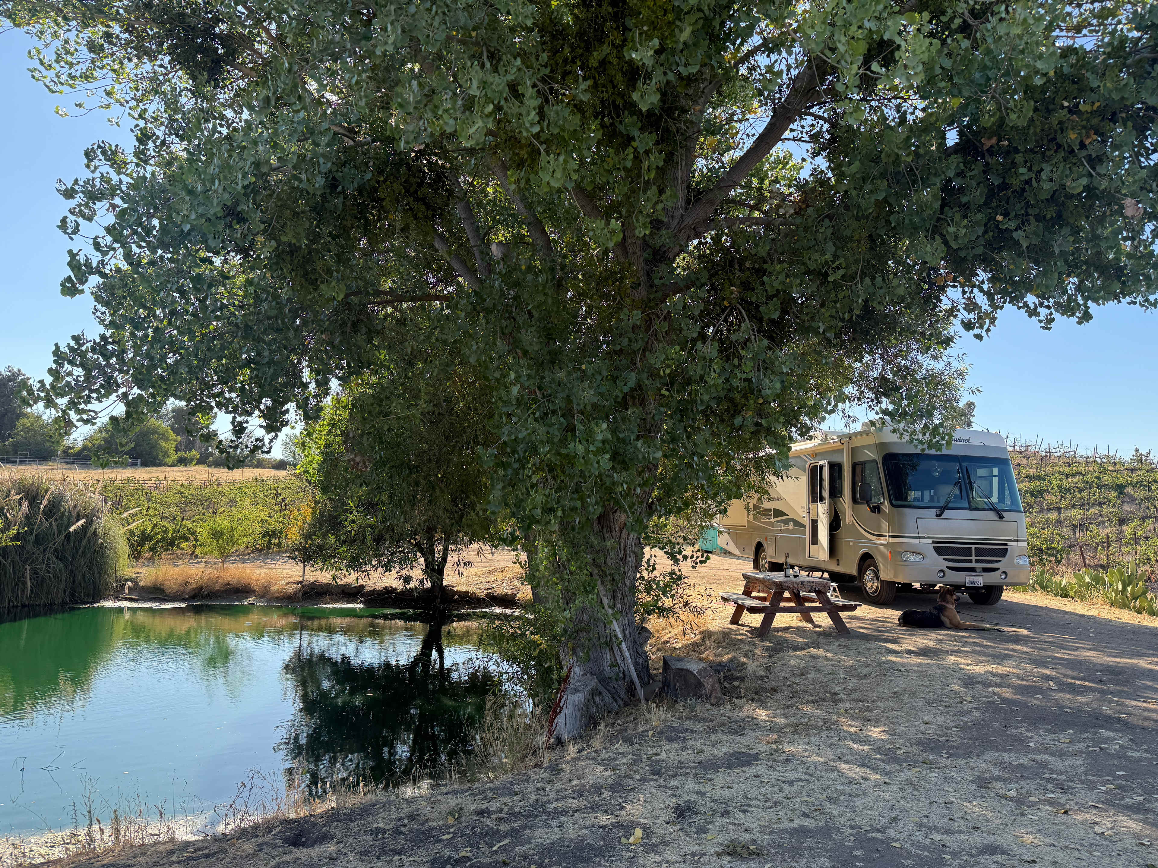Paso Robles Camping