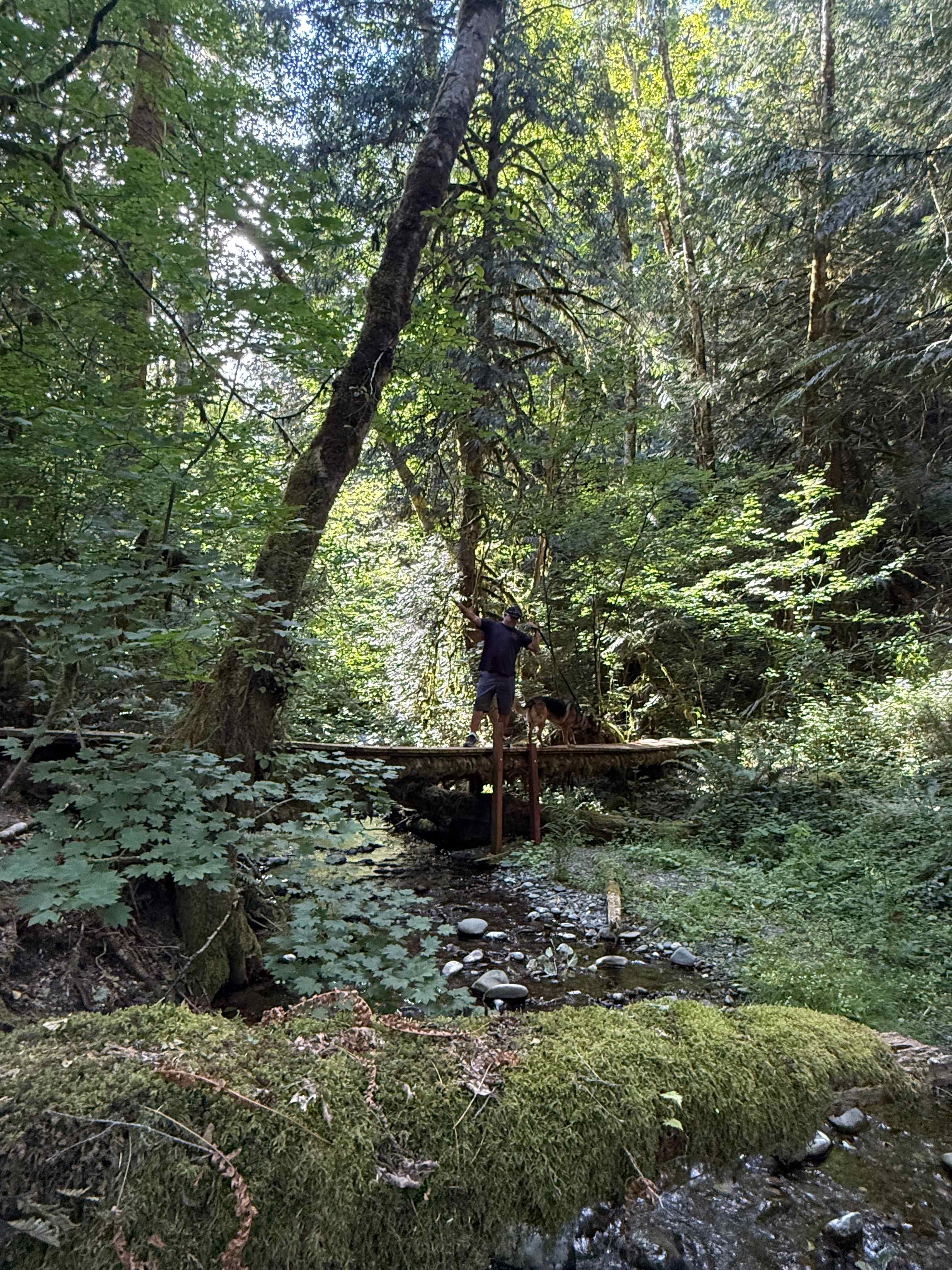 The Glen - Olympic Peninsula RV