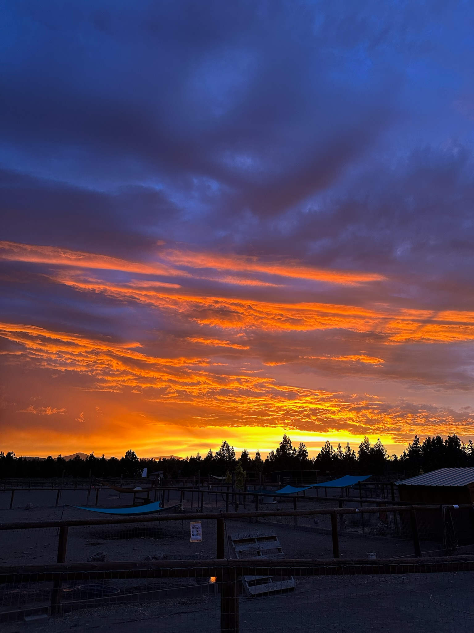 Harmony Farm Sanctuary