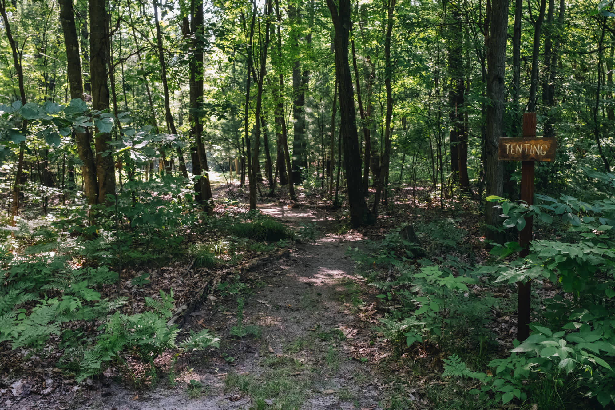 Private Hiking Trails on property