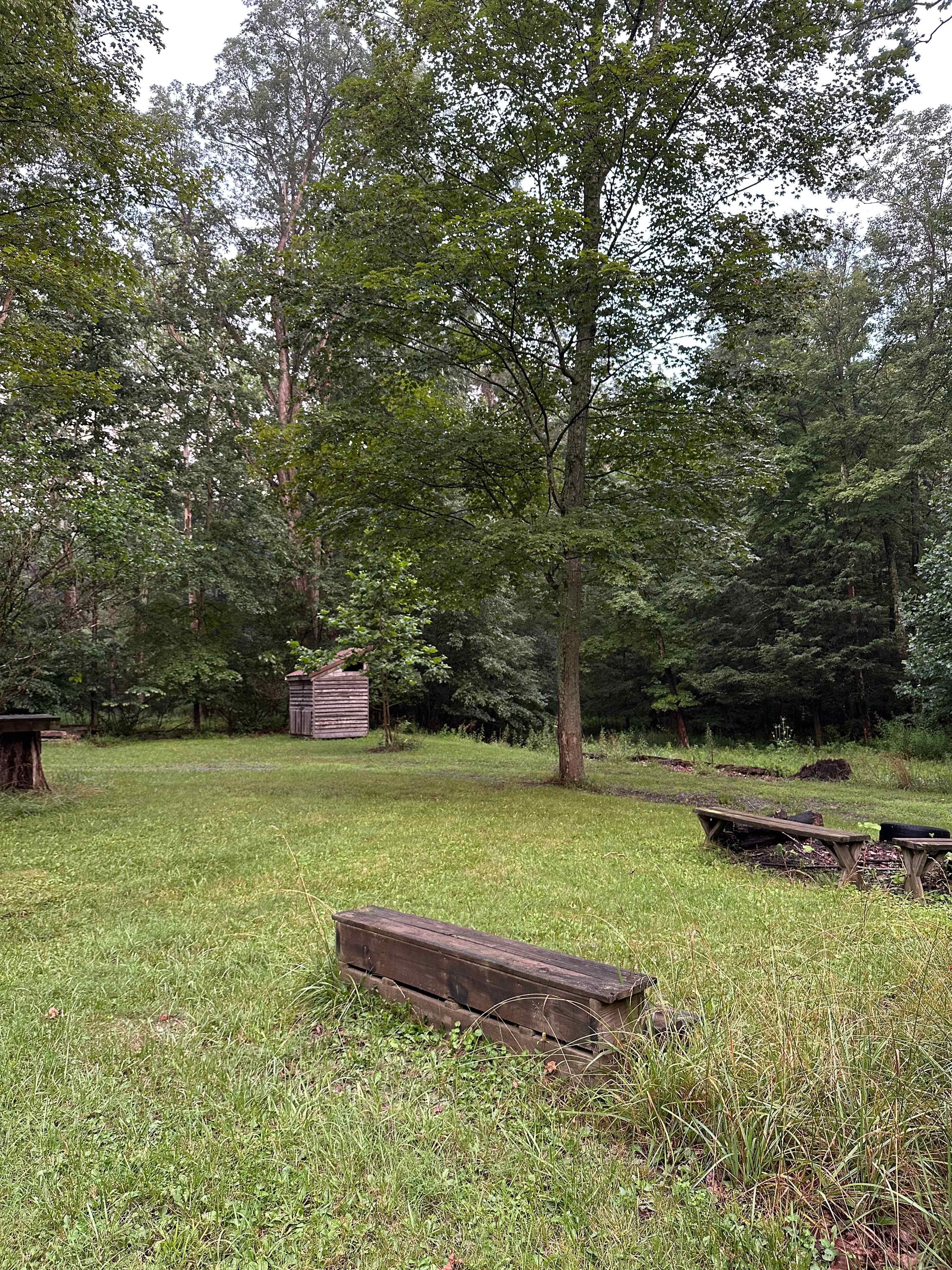 View towards outhouse